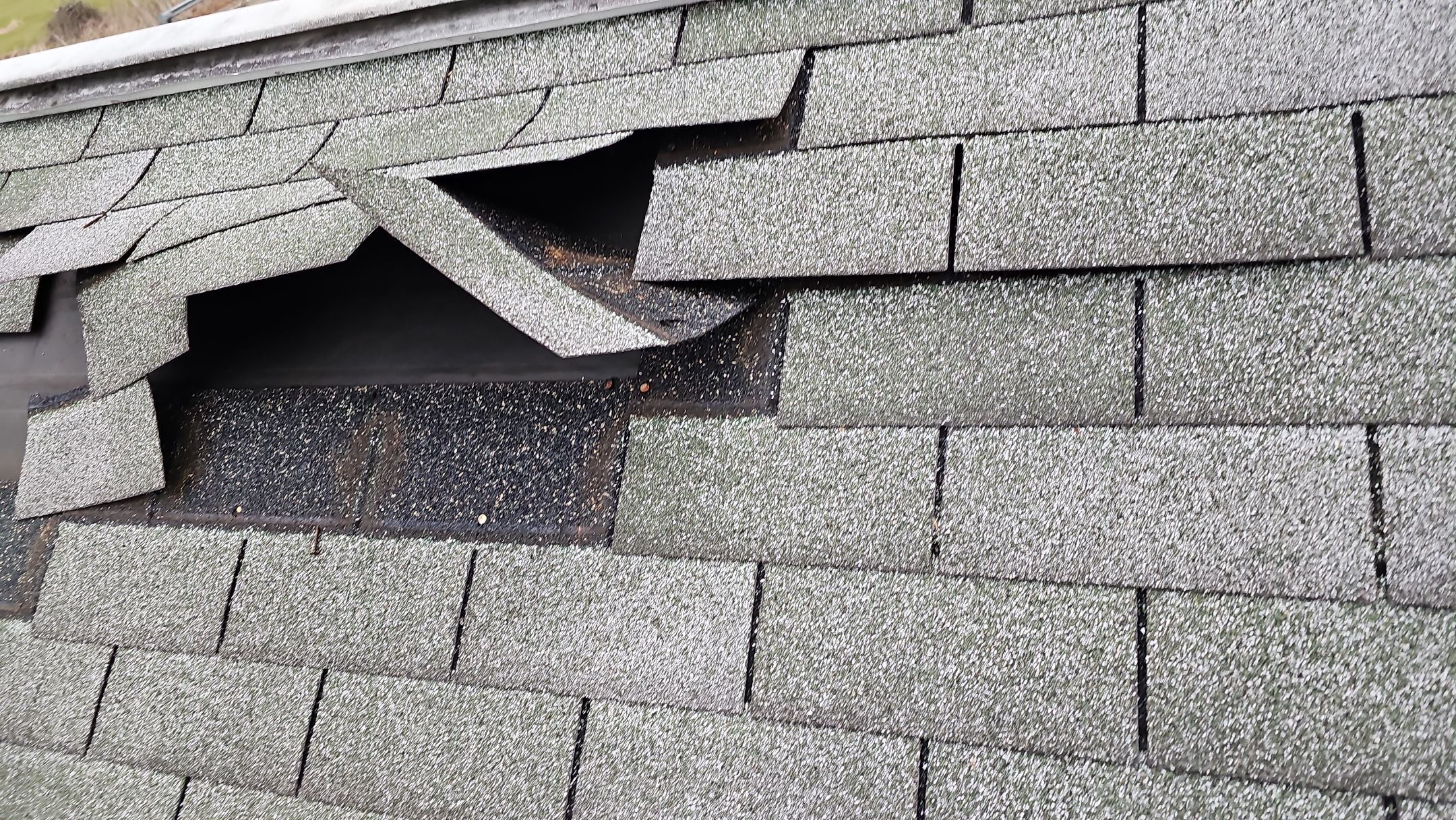 ATLAS PINNACLE COLOR: COASTAL GRANITE DRIP EDGE: BLACK by Eagle Eye Roofing