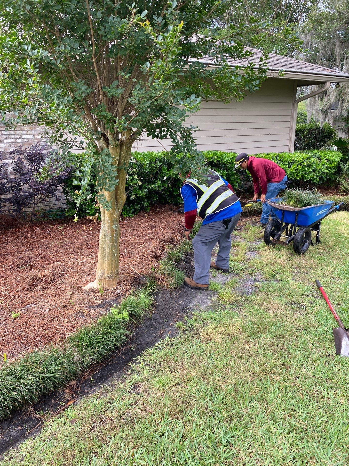 Deerwood Resident | Sod & Landscape Install by ProGreen Services