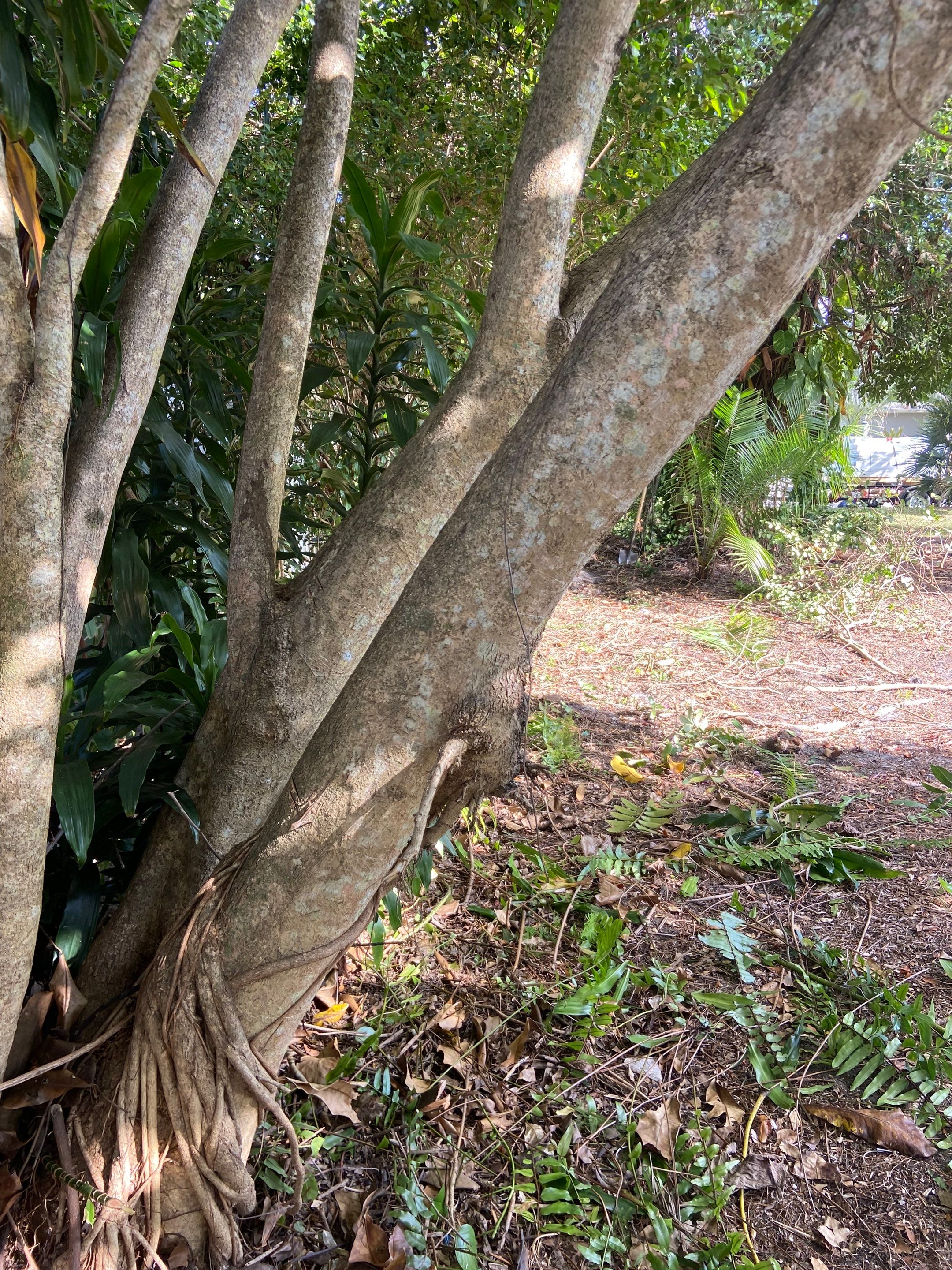 Bradenton, FL 4 ft. and 6 ft. Vinyl Privacy Fence by Asap fence and gates, LLC