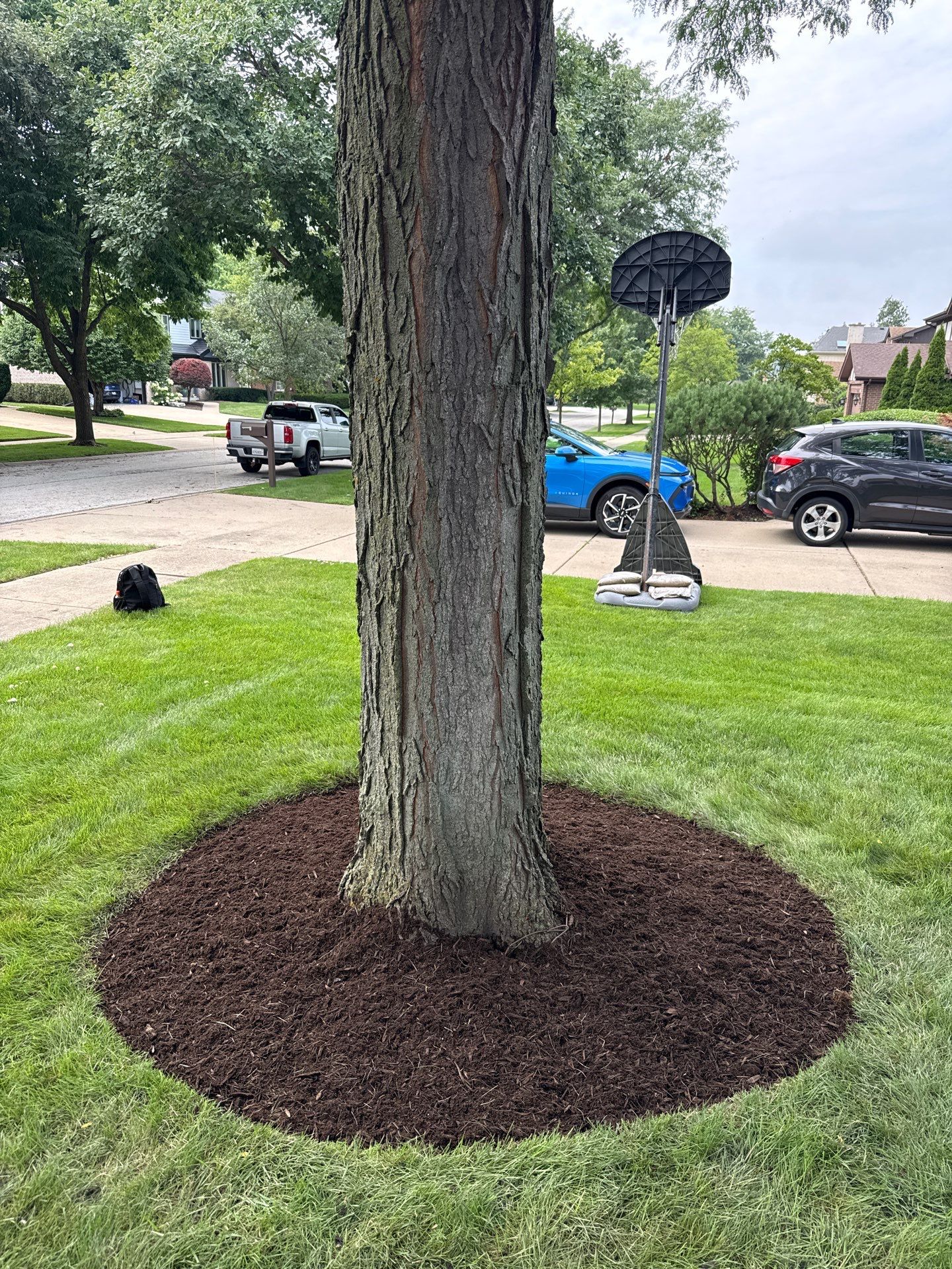 Marie R. - Glenview, IL by A&N 