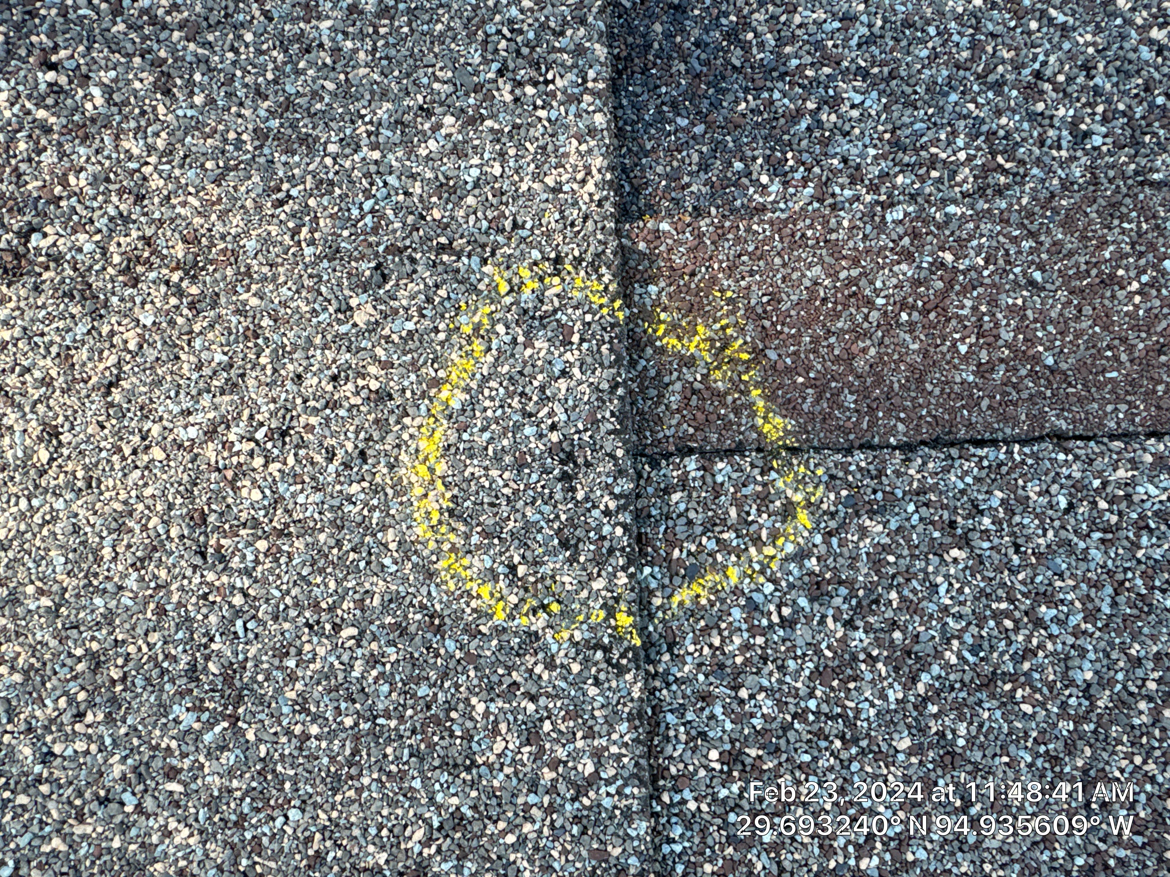 Hail Damage by Southern Belle