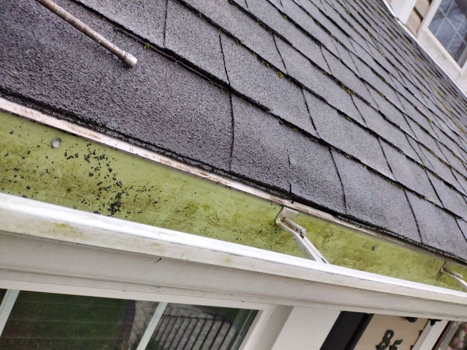 Comprehensive Residential Gutter Cleaning and System Flush in Wayne by NJ Home Maintenance Services