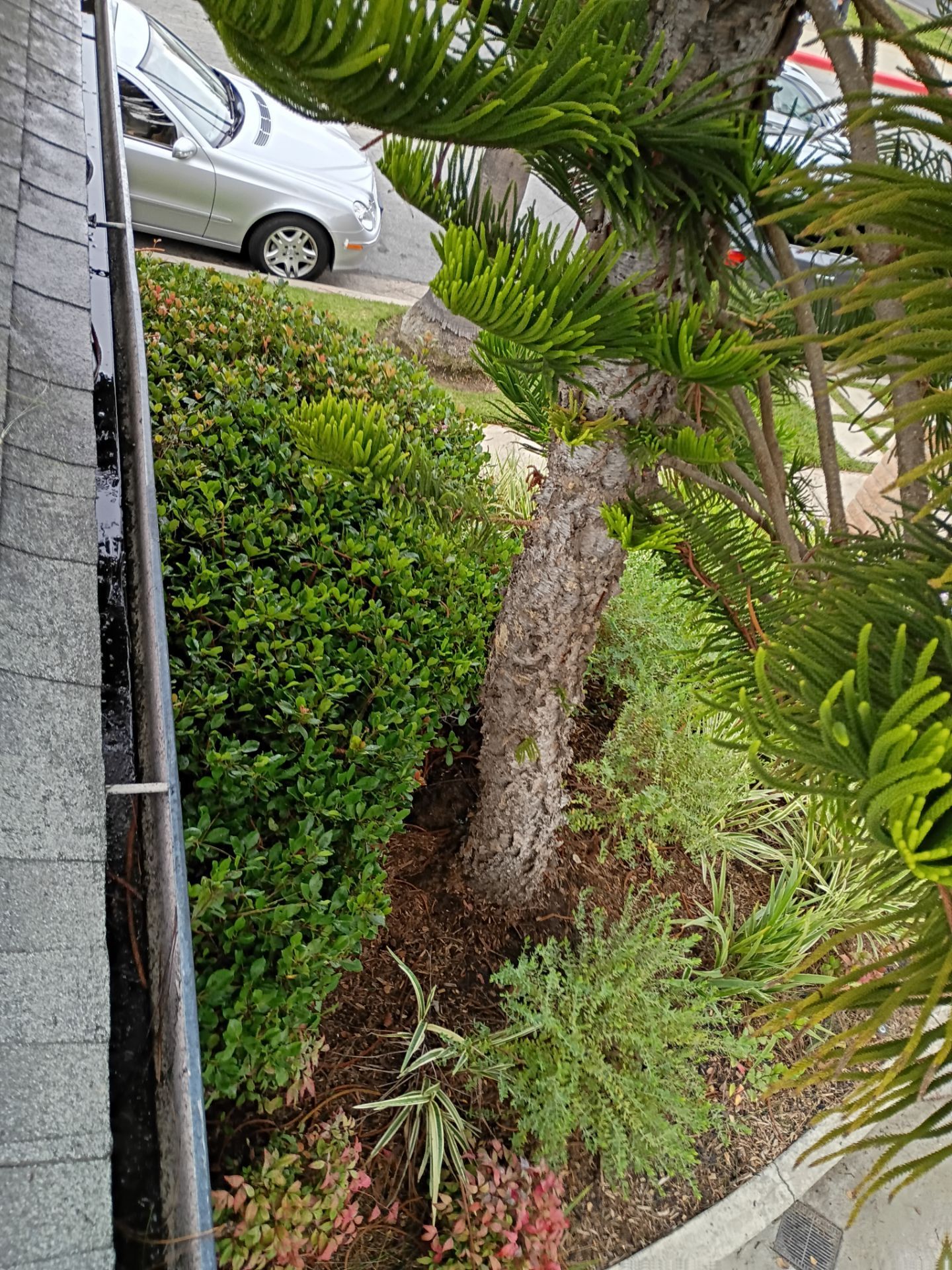 HOA gutter cleaning after photo.