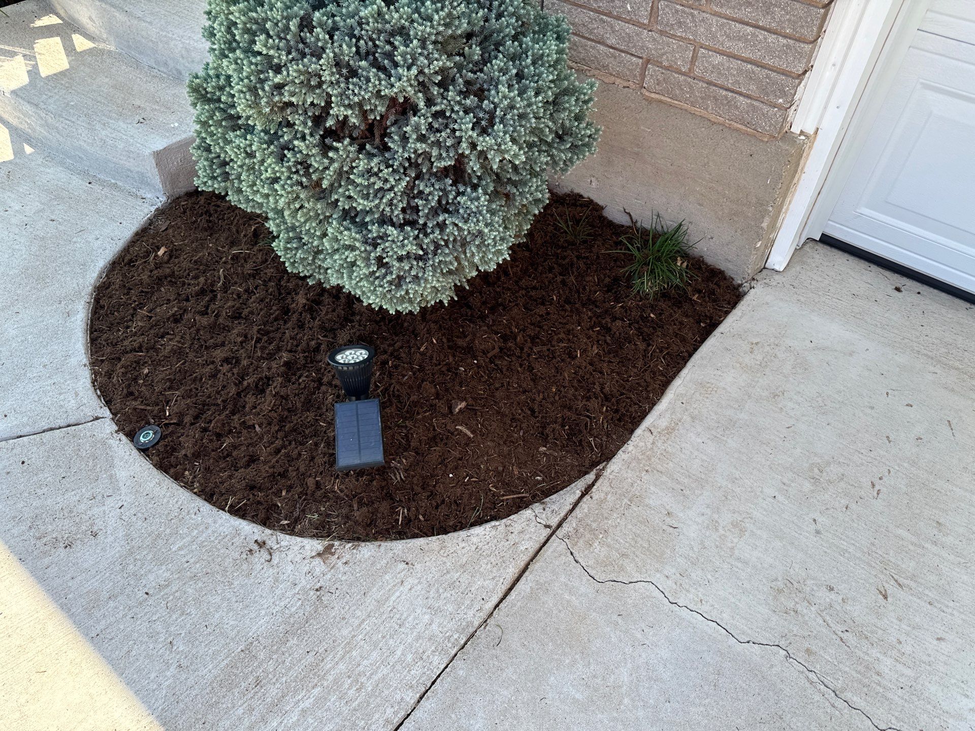 Landscape using Crepe Myrtle Plant by Clays Services Inc
