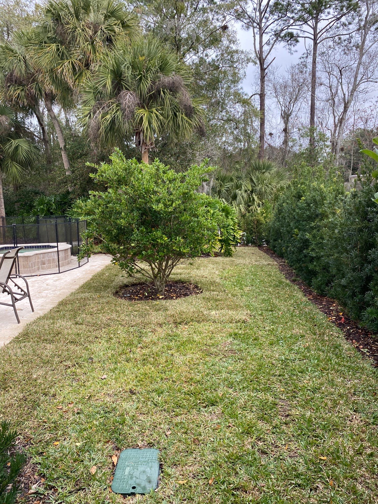 Deerwood Resident | Freshen Up Project by ProGreen Services