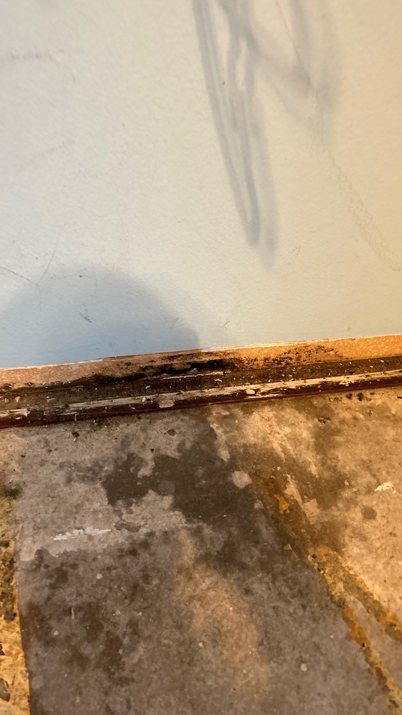 Mold Remediation by Accountable Home Services