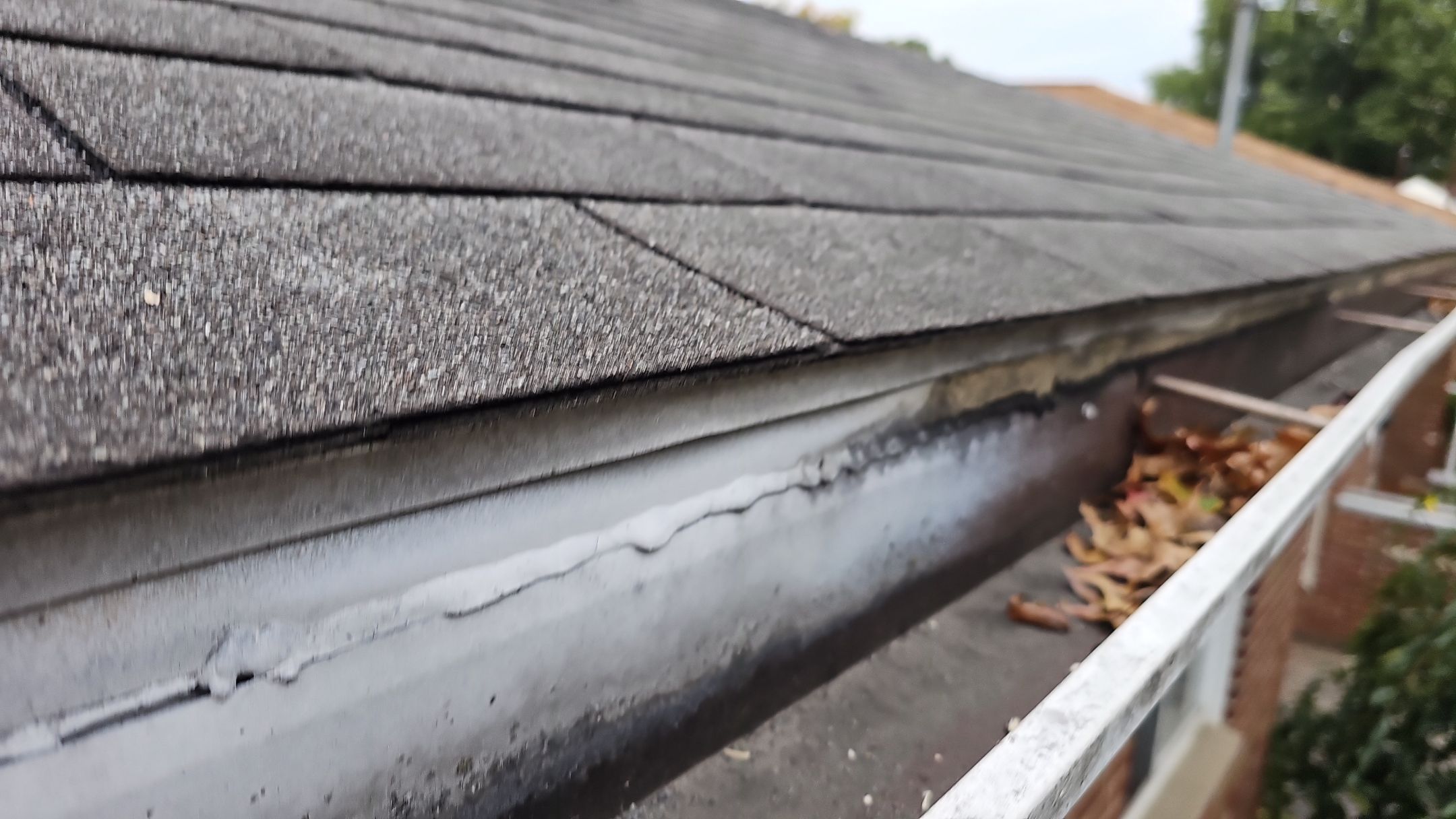 ATLAS PINNACLE COLOR: OYSTER SHELL DRIP EDGE: WHITE by Eagle Eye Roofing