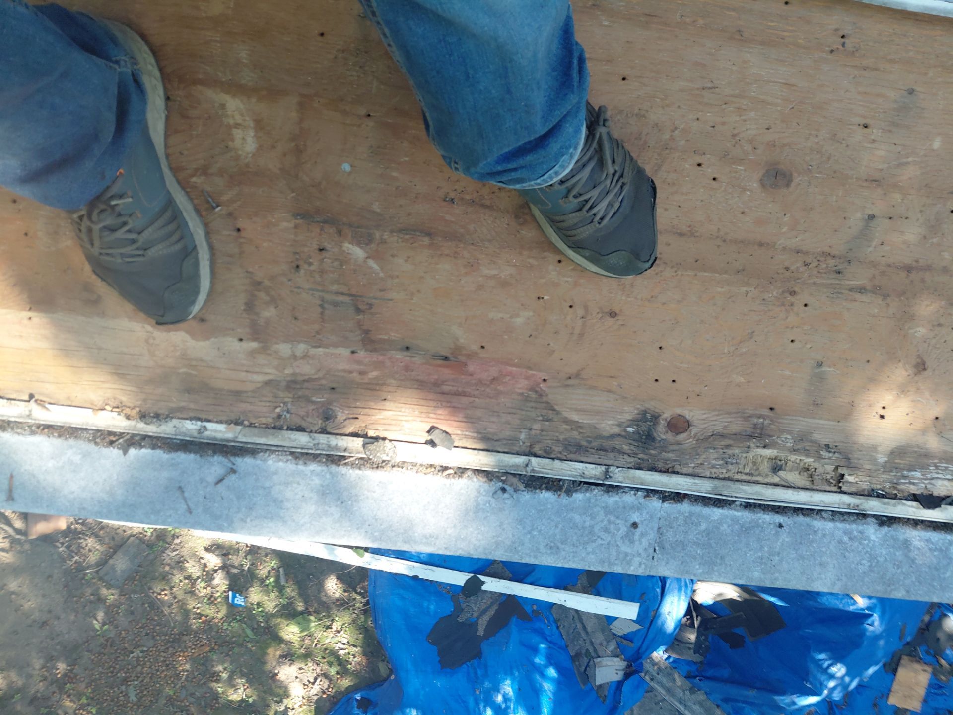 Falls Church: Residential Roof Replacement with CertainTeed Landmark in Moire Black  by RM Banning, Inc.