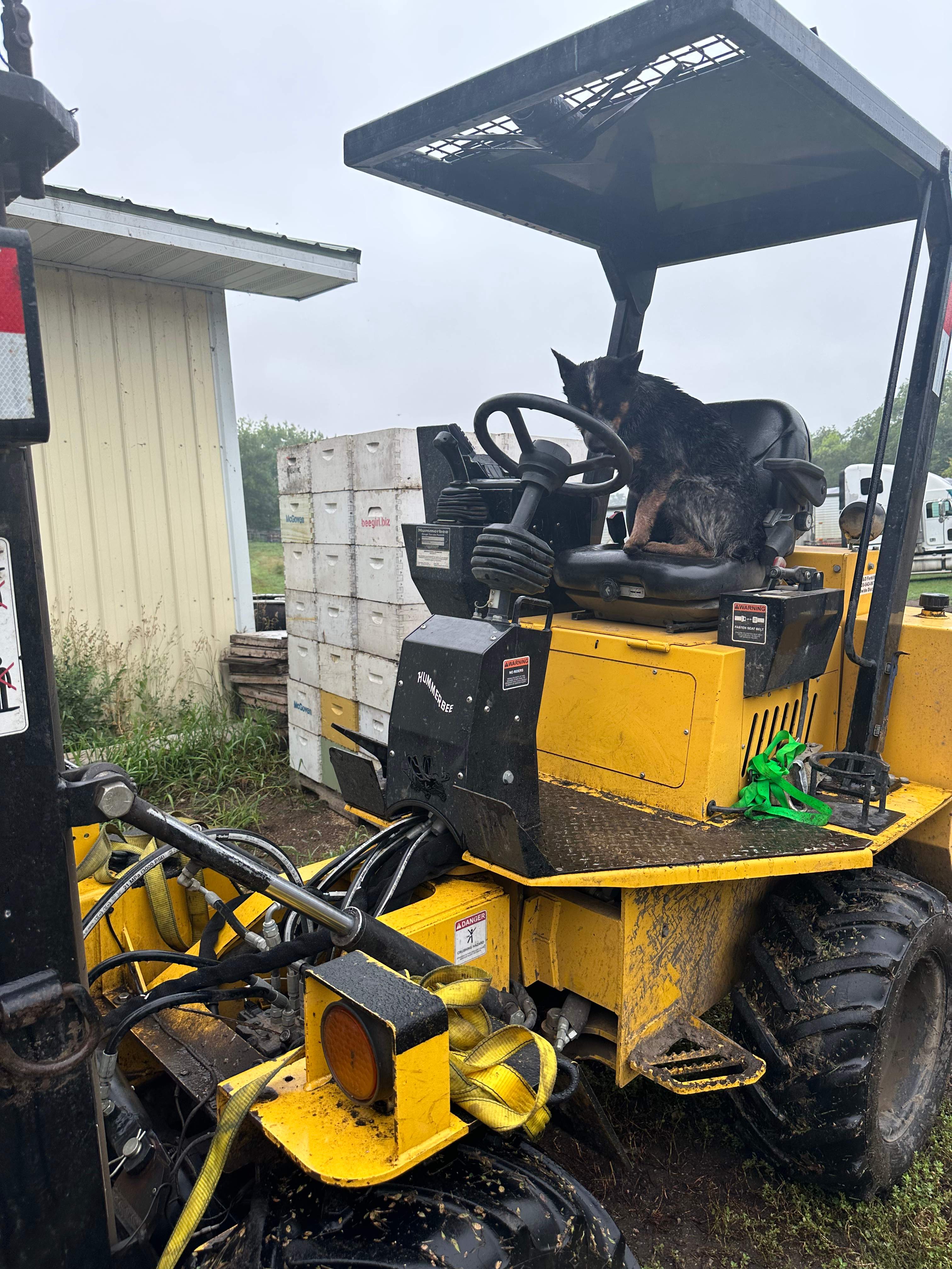 BeeGirl's Honey House in the Midwest by Rockwall Honey Bee Company