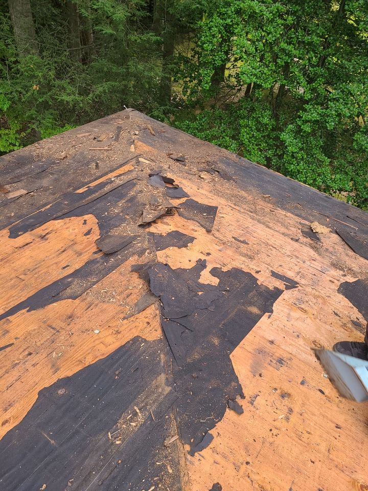 Fairfax Station: CertainTeed Landmark Pro Designer Shingles in Max Def Resawn Shake by RM Banning, Inc.