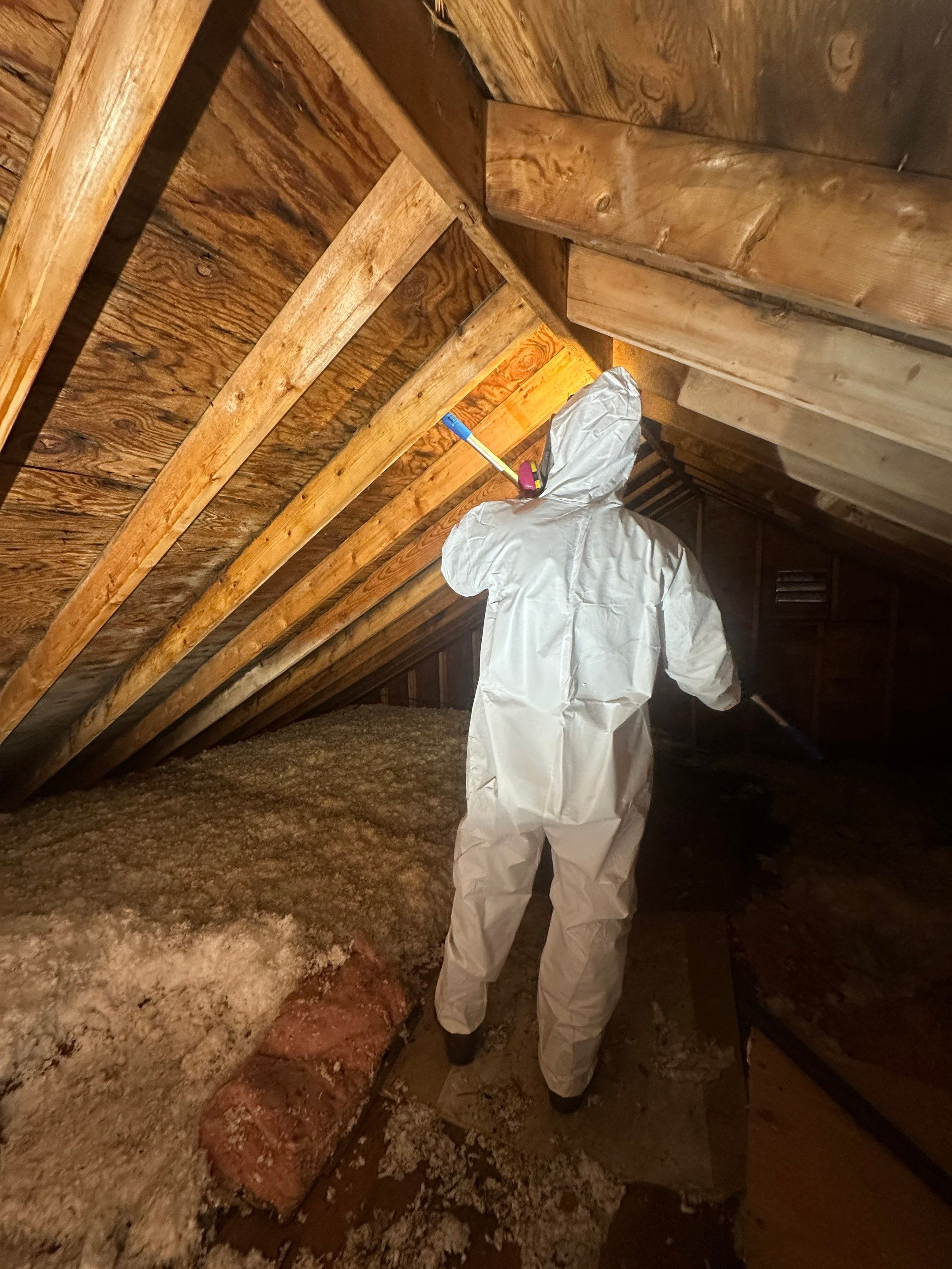 Attic Mold Remediation by Home Guarantee, LLC