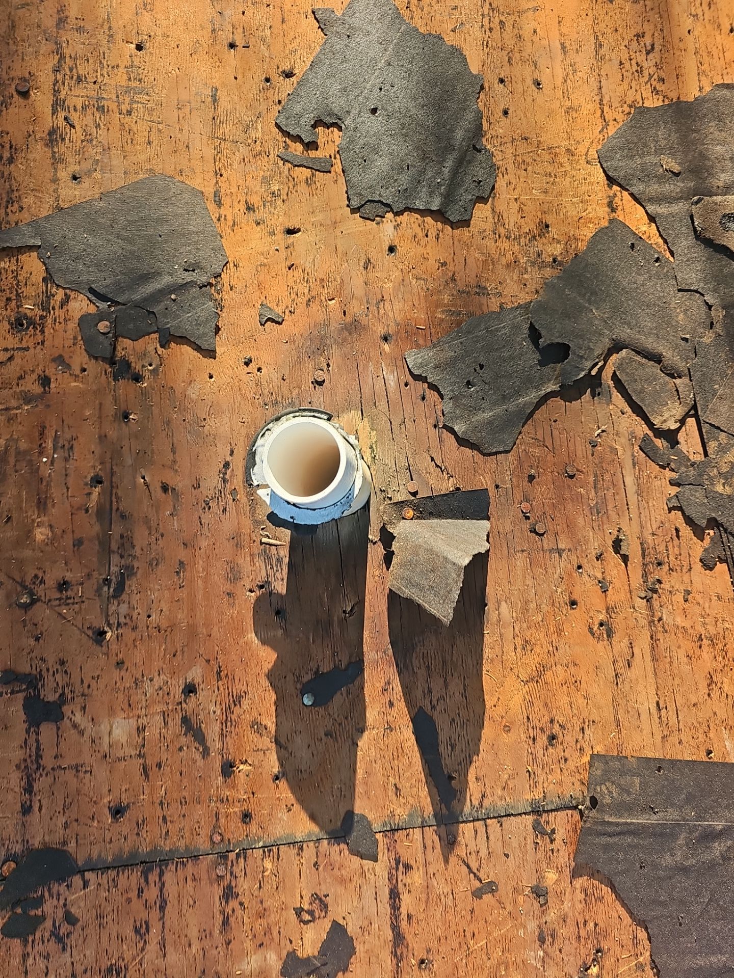 Roof Replacement by Winchester Roofing