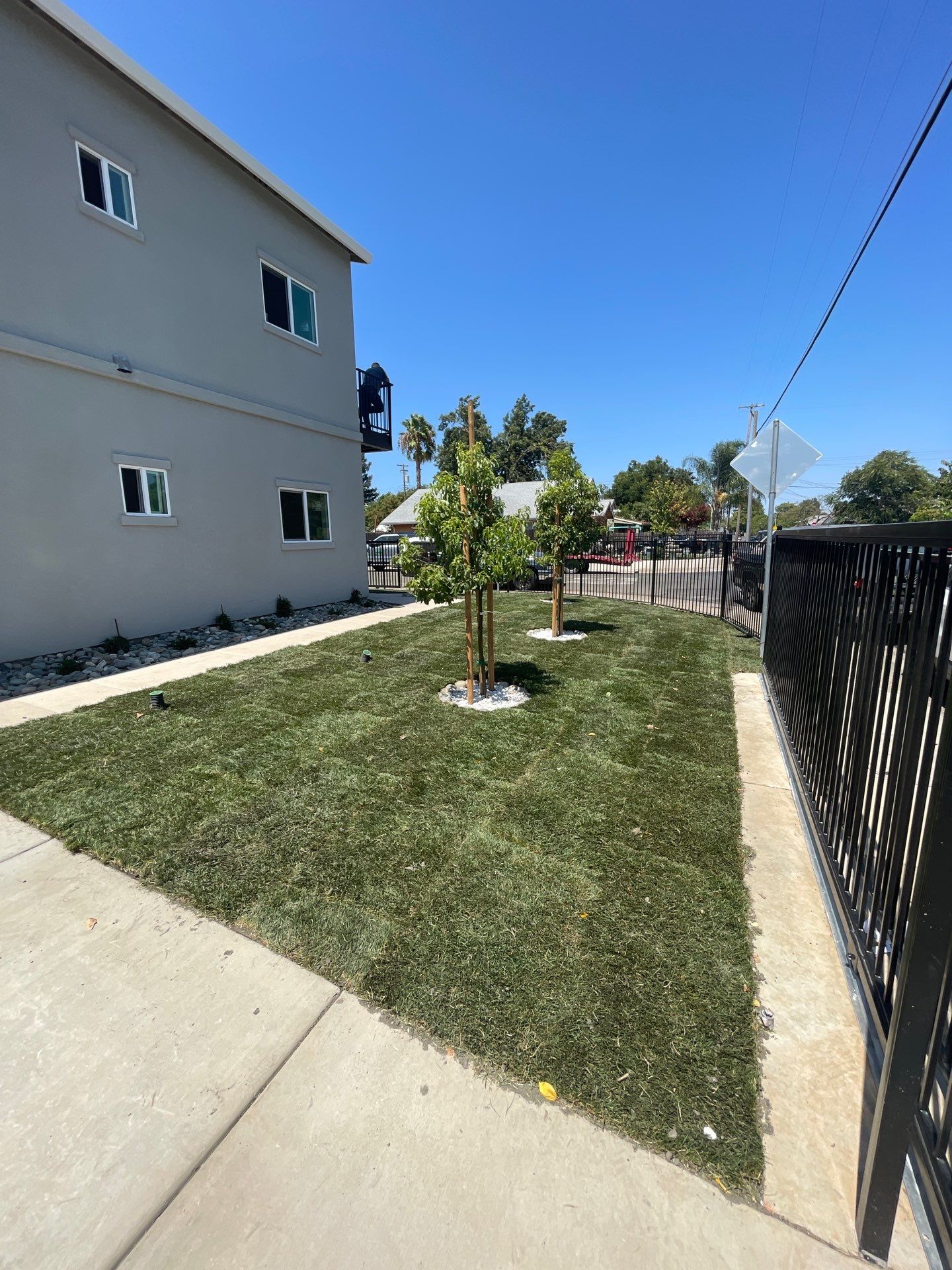 Project in Sacramento by A - G Sod Farms