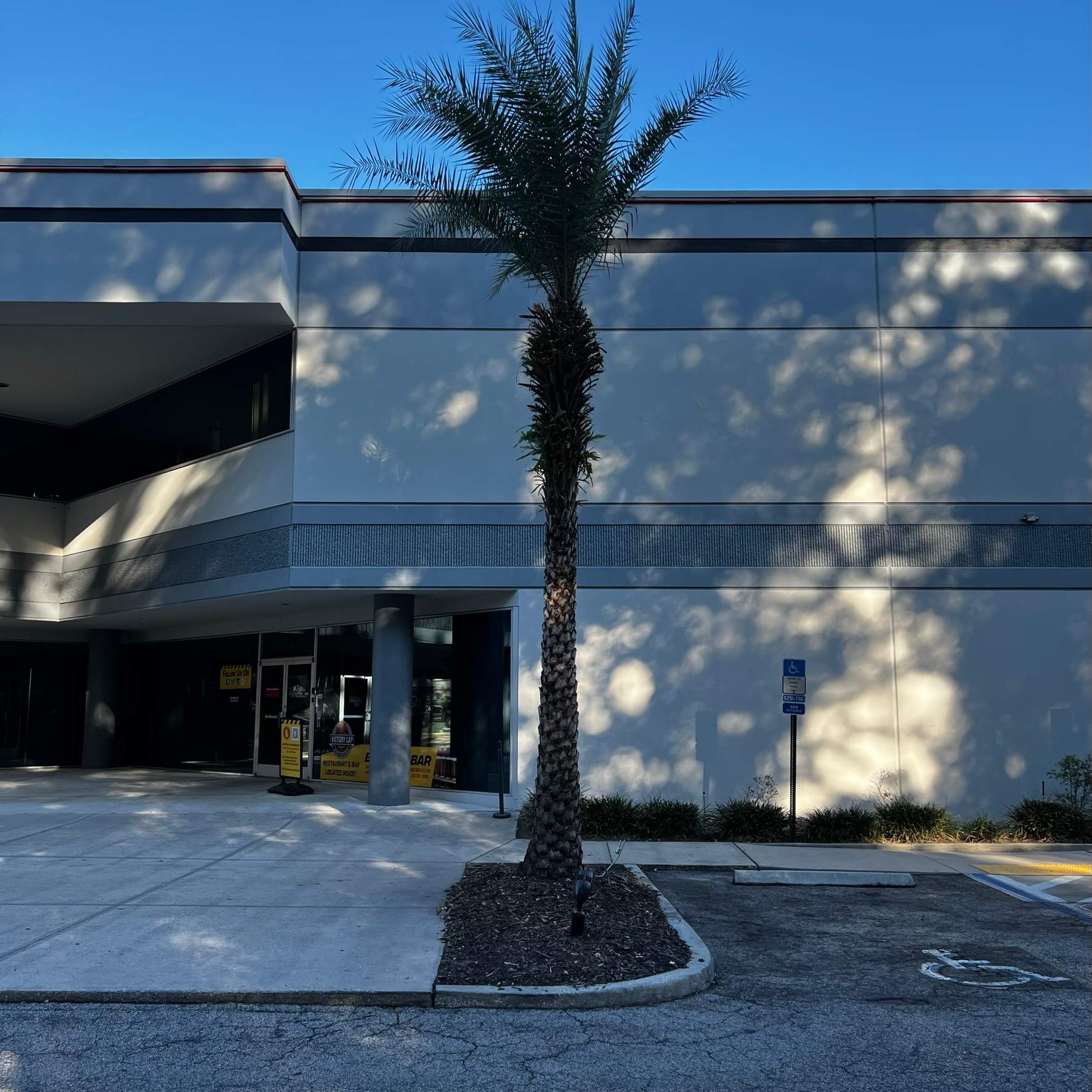 Tree Trimming | Autobahn Raceway by ProGreen Services