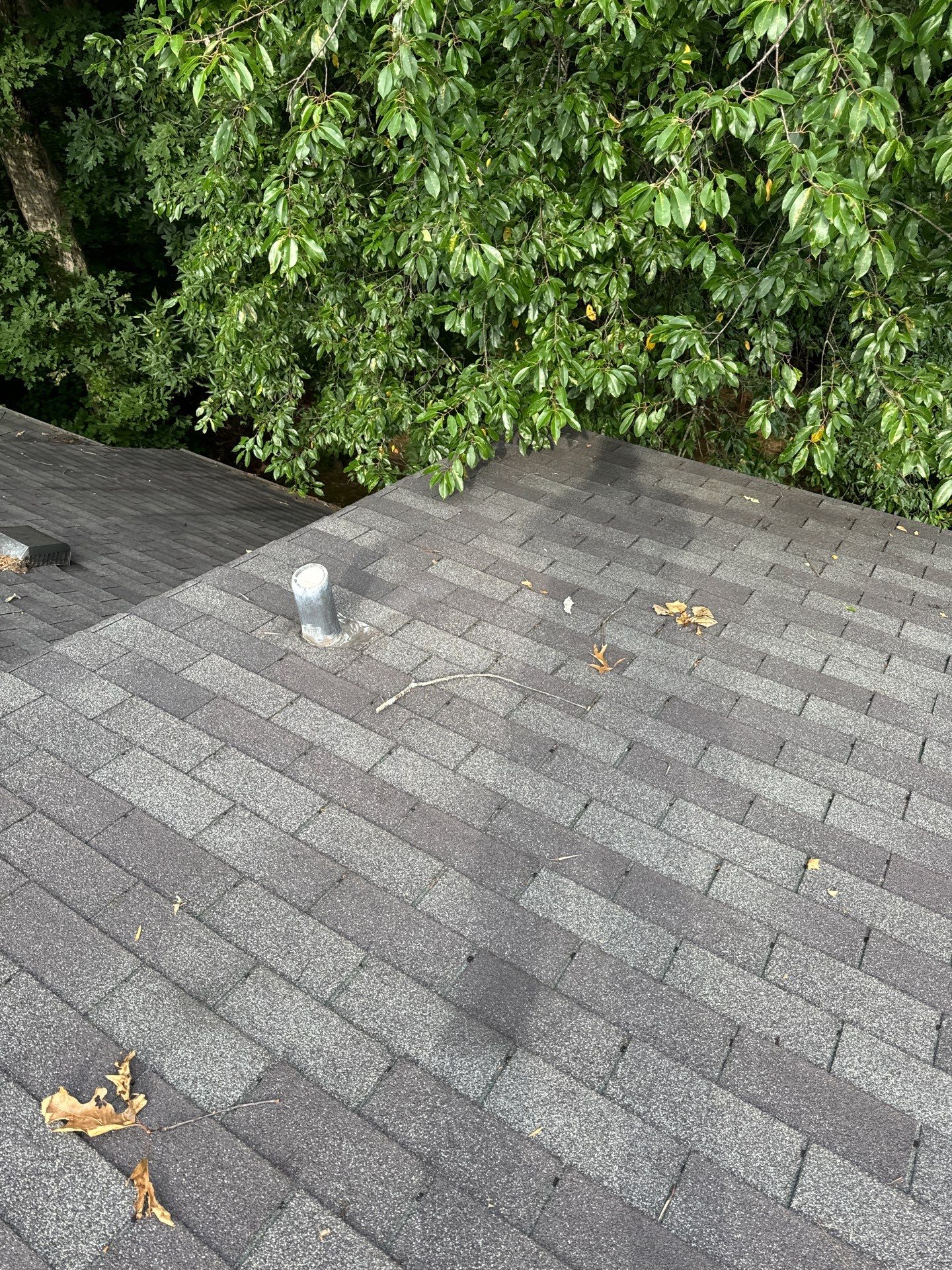 Jody Terrell by United Contracting and Roofing