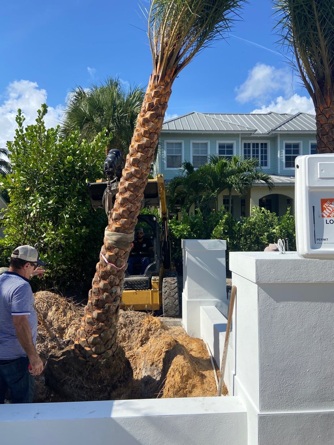 Hazard  by The Landscaping People