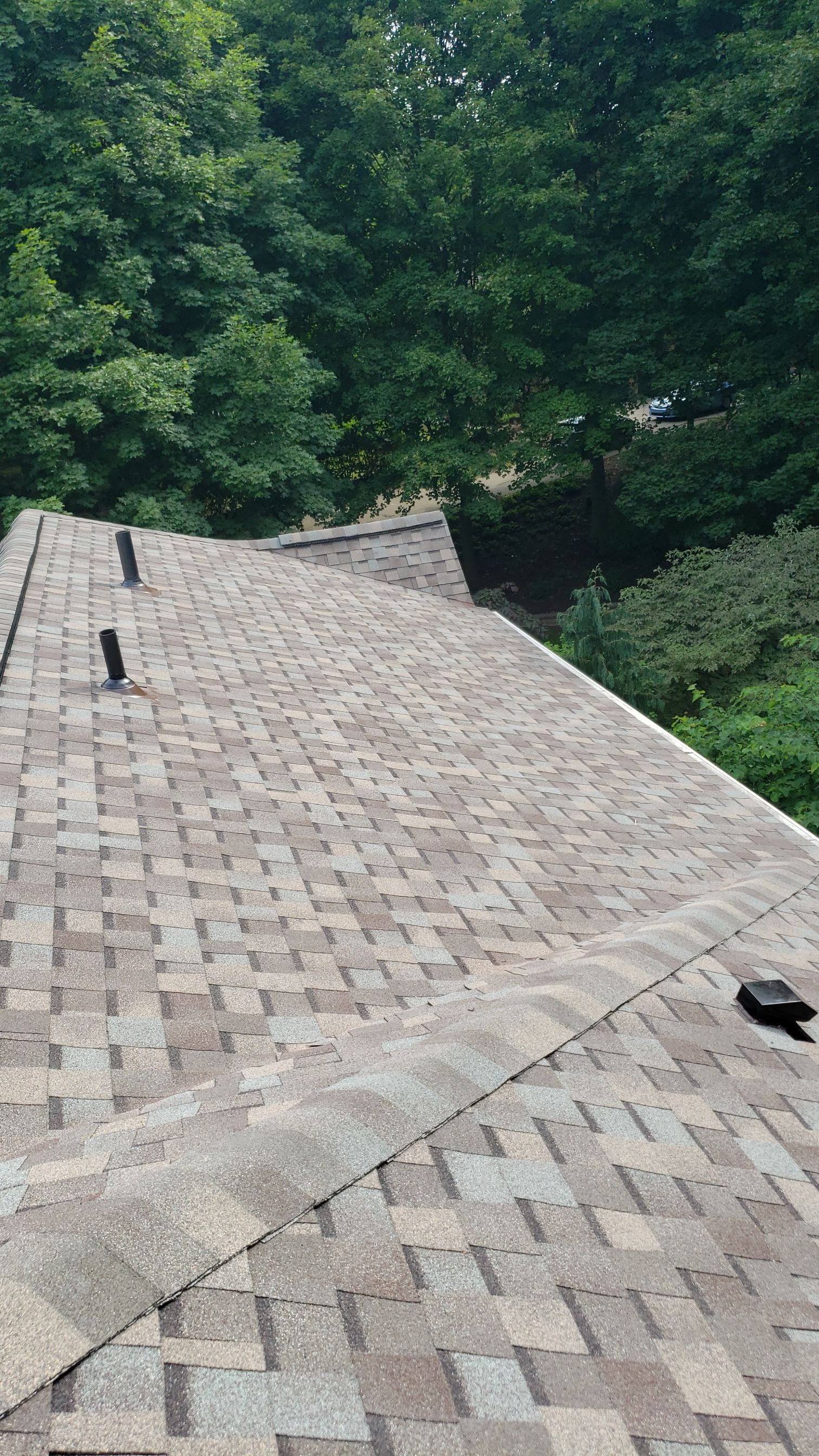 Brand: Atlas Pinnacle Color:  Majestic Shak Drip Edge: White by Eagle Eye Roofing