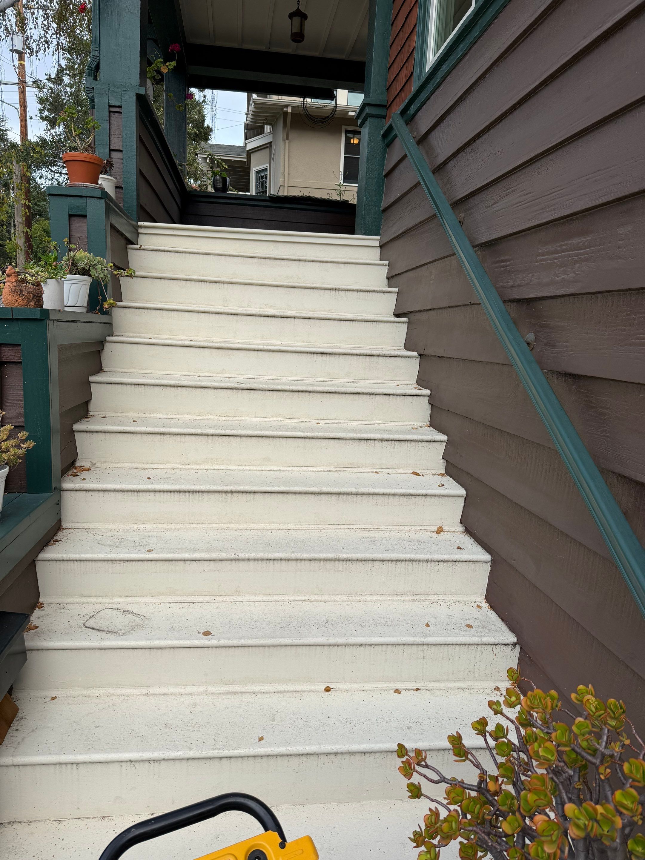 Full back garden refresh by SpotFree Window Cleaning