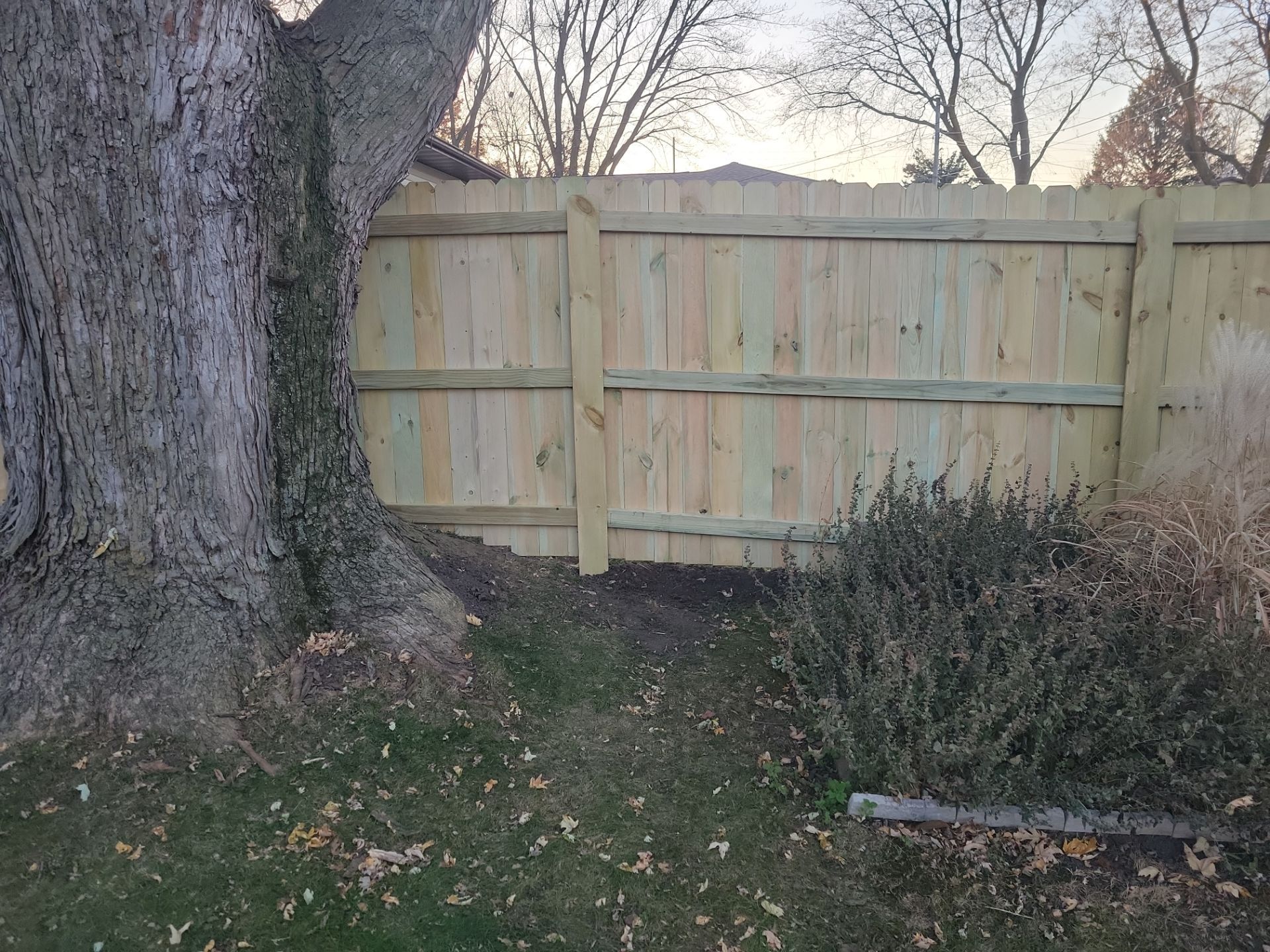 New Pressure-Treated Wood Privacy Fence and Gate in Charles City by Perfect Picket Fence and Stain