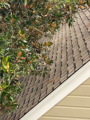 Project in Beaumont