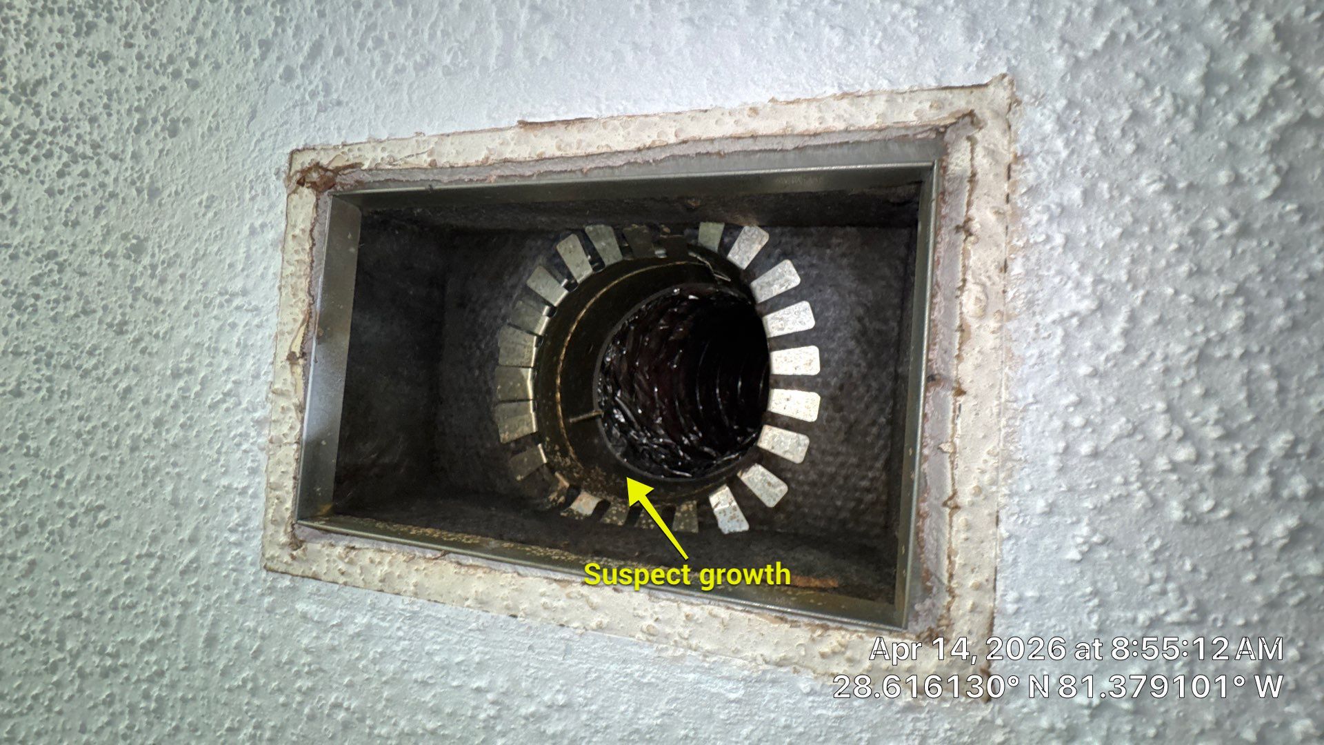 Air Duct Cleaning in Maitland by Hygienic Air, Inc