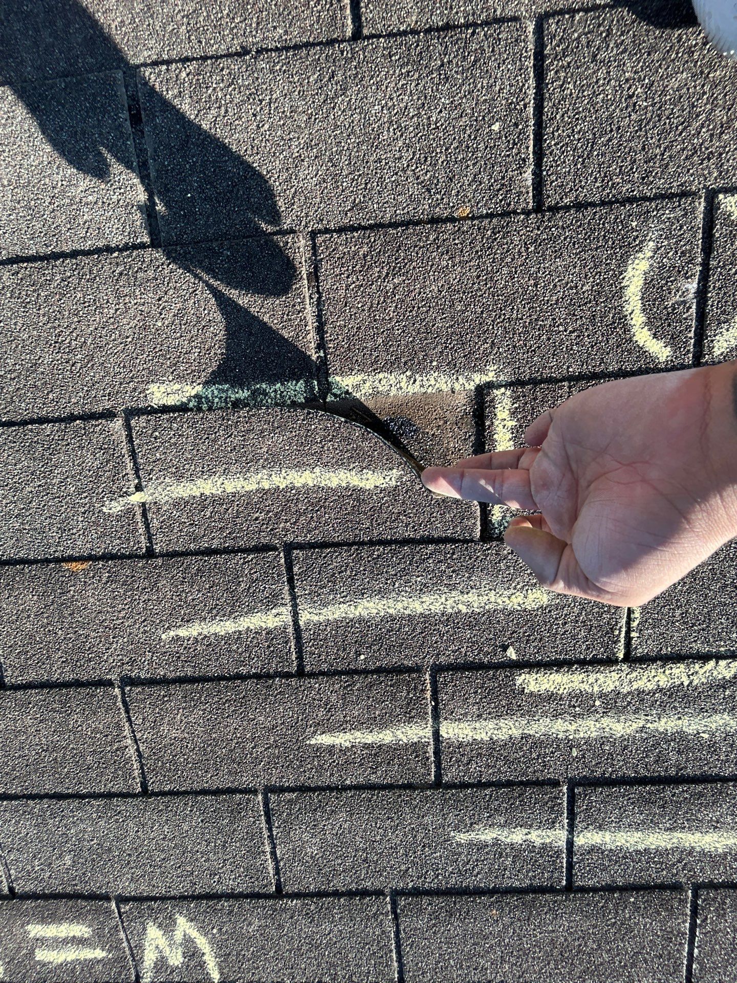 Miss Bridgette by REPS Austin Area Roofer