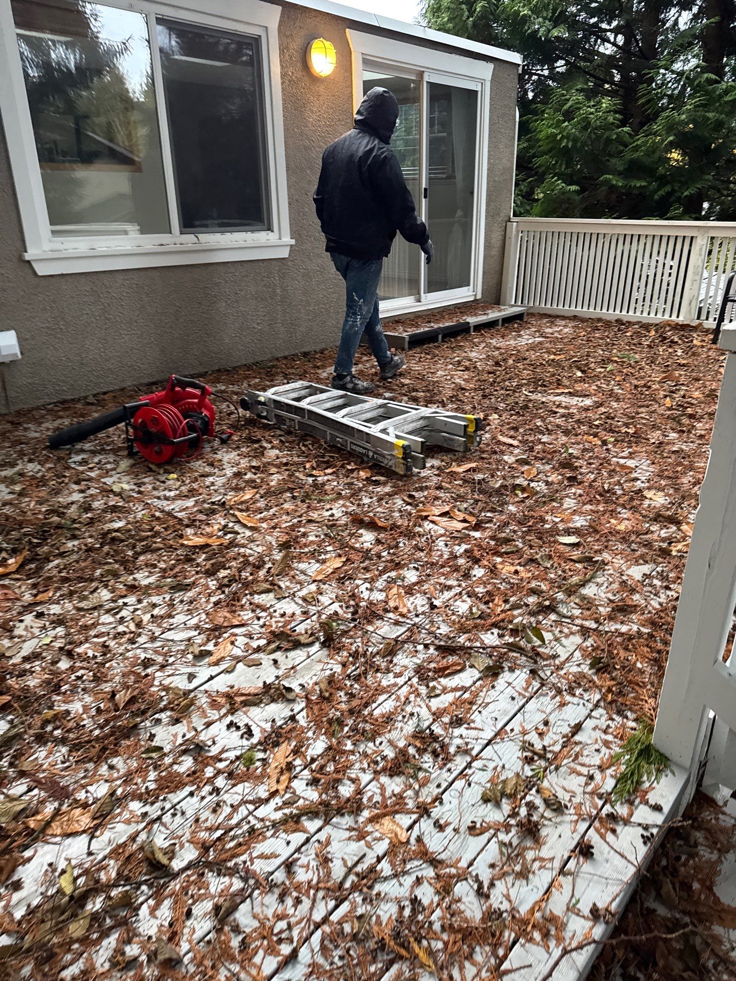 Leaf removal by YVR Construction Group