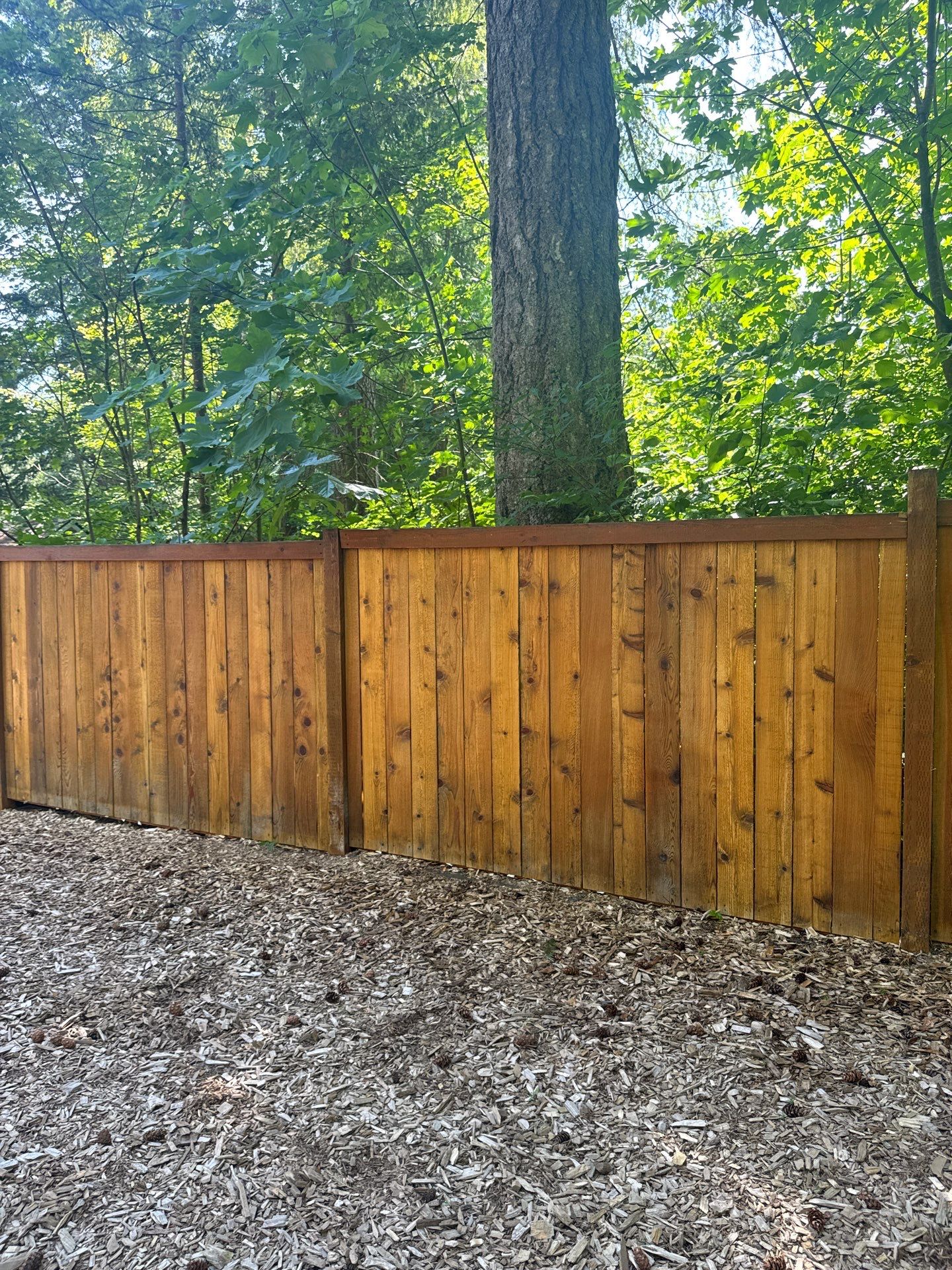 Project in North Bend by Clean Buildings