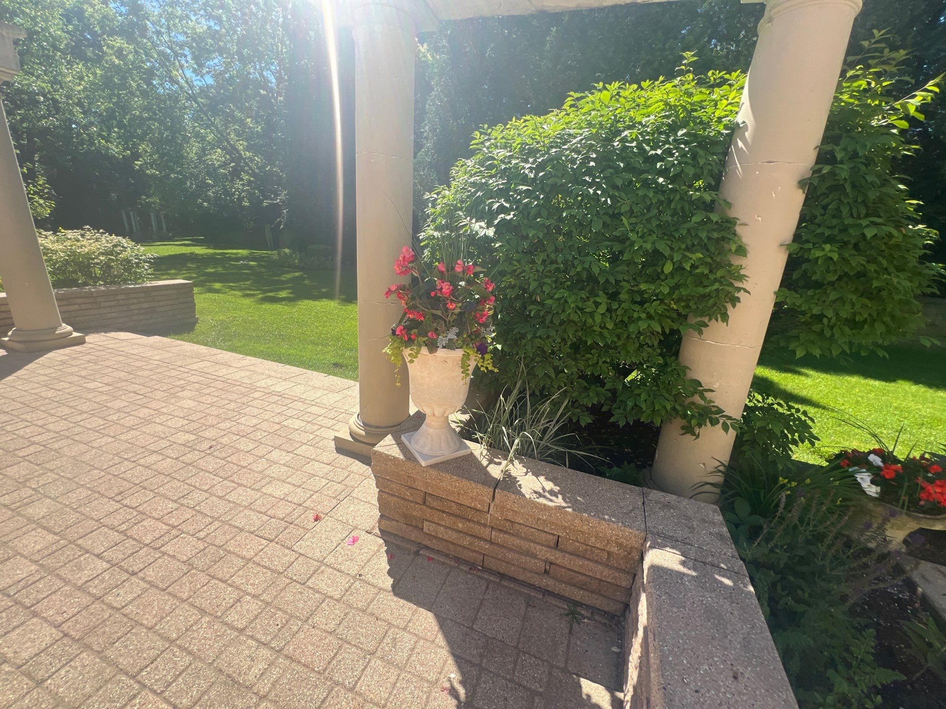 concrete cleaning using Algaecide, soft wash soap by Northern Power Washing LLC.