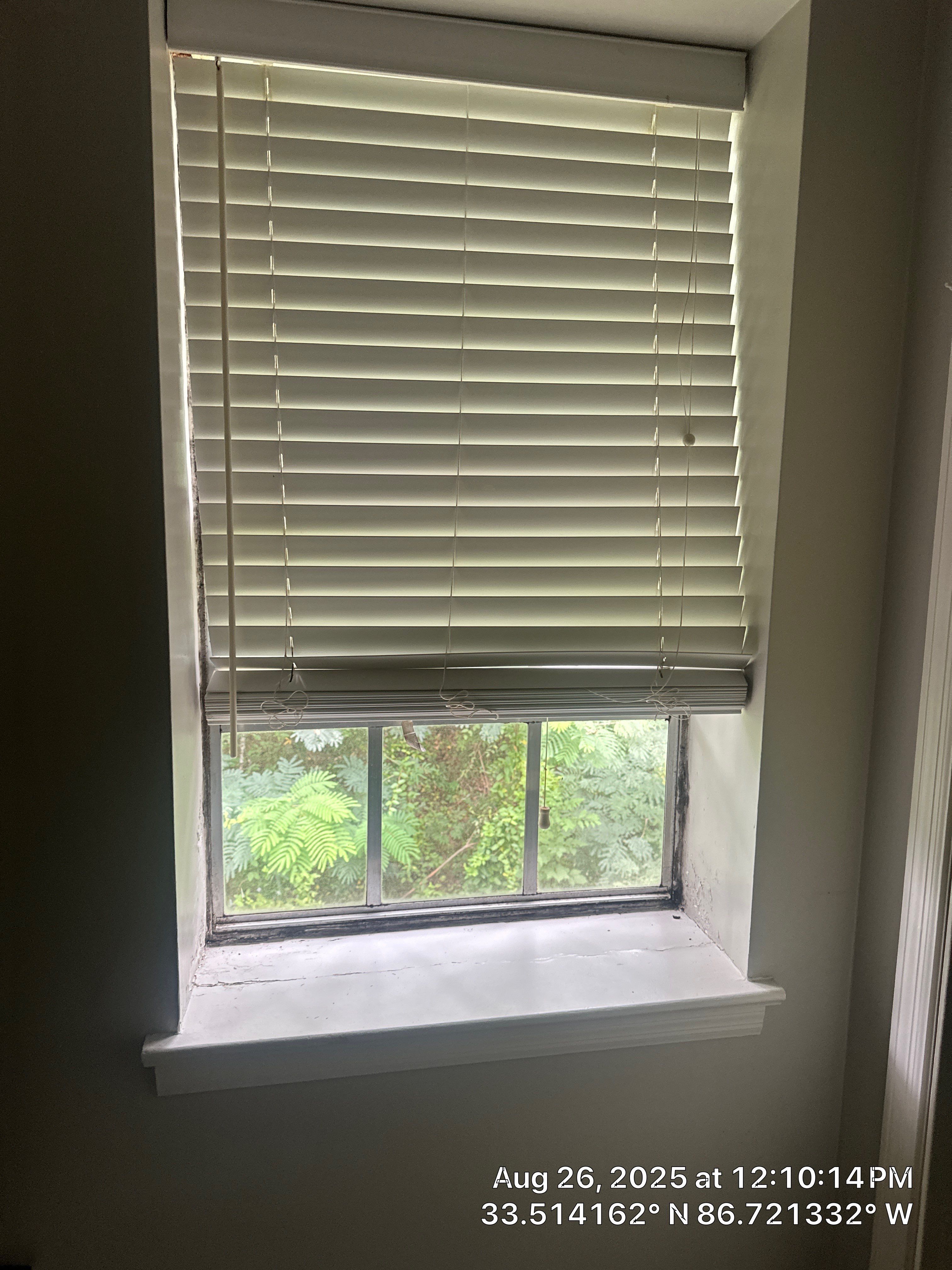 Hensley Project in Mountain Brook by The Window Source