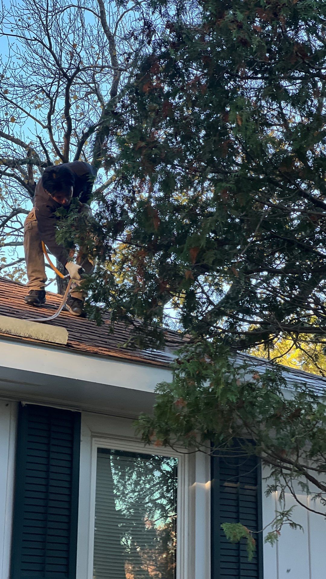 Project in Glen Allen by Roof Maxx of Midlothian