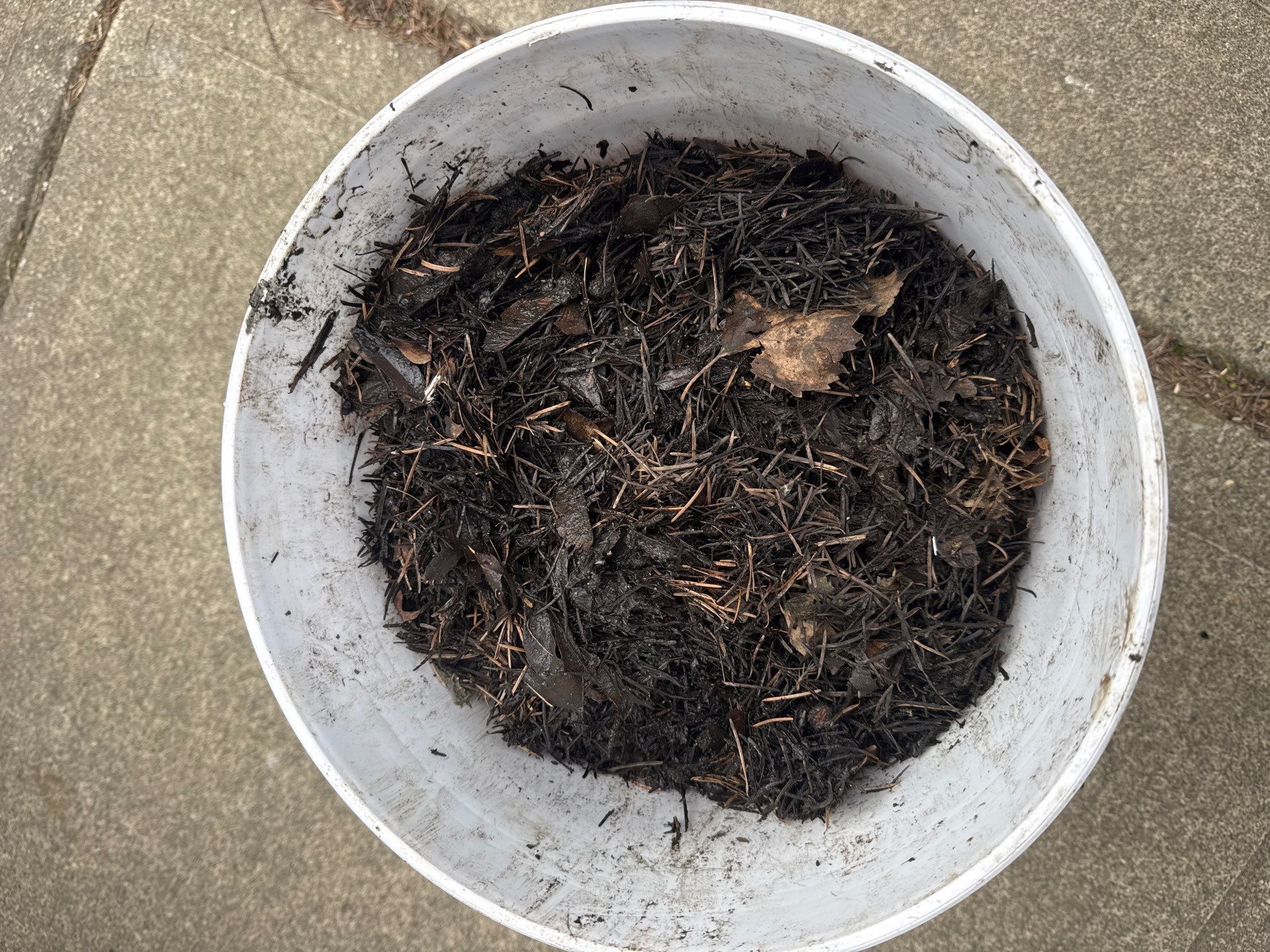 Major Gutter Cleanup - Keizer by Rolling Suds of Oregon Coast – Salem