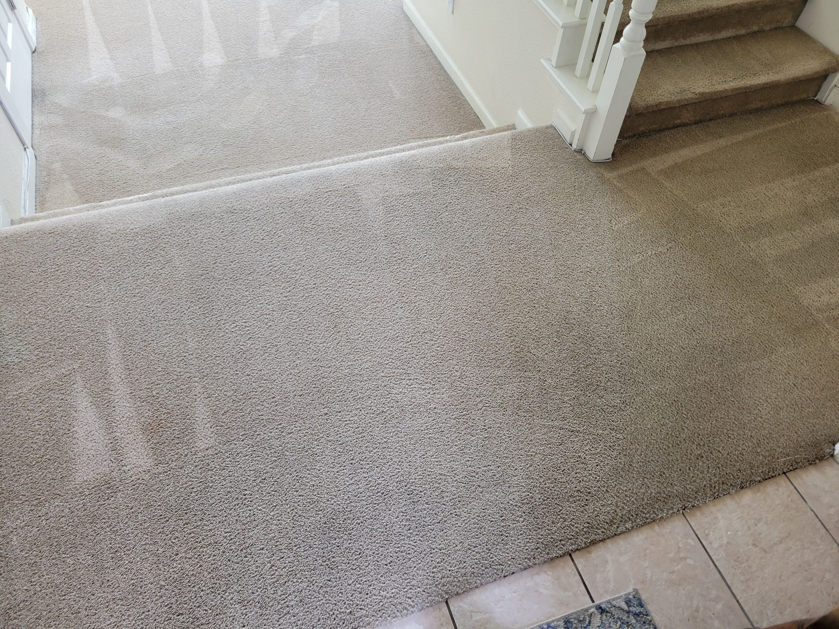 Cleaning Heavily Soiled Stairs and Entryway by Ardent Carpet Restore LLC