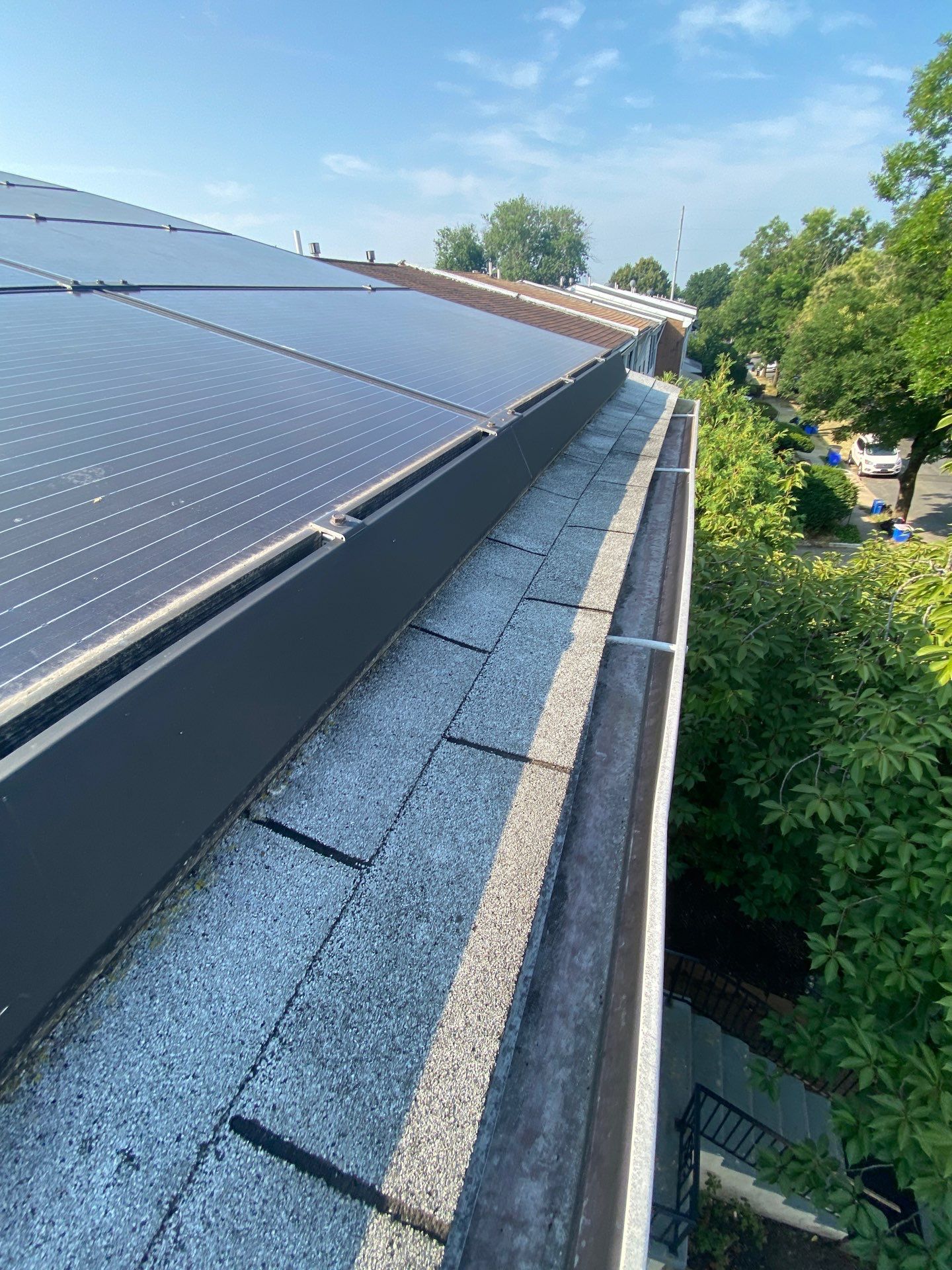 Silver Birch Shingles by Reimagine Roofing