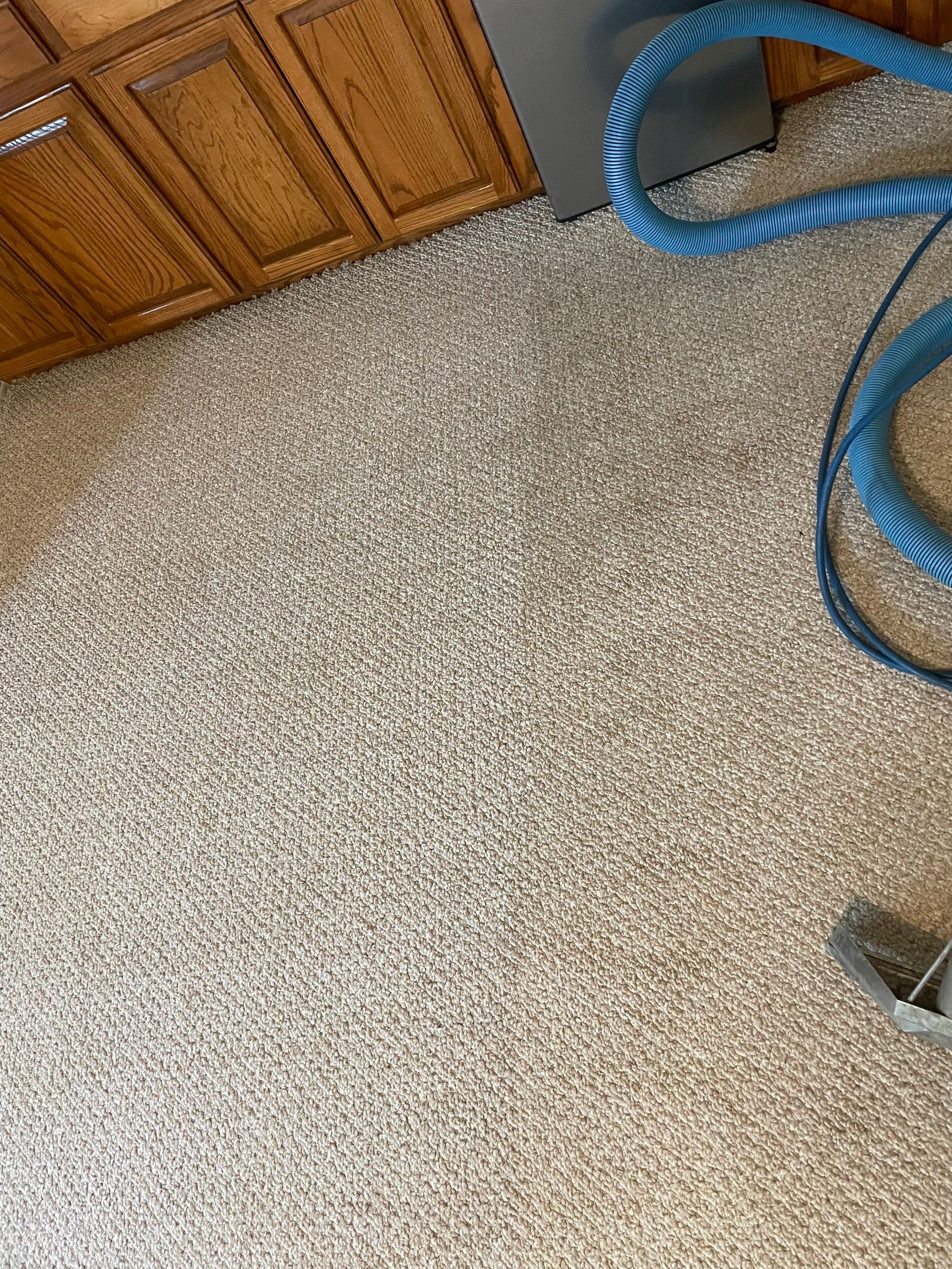 the service being done is carpet cleaning with equipment for extracting dirt and stains from the carpeted surface