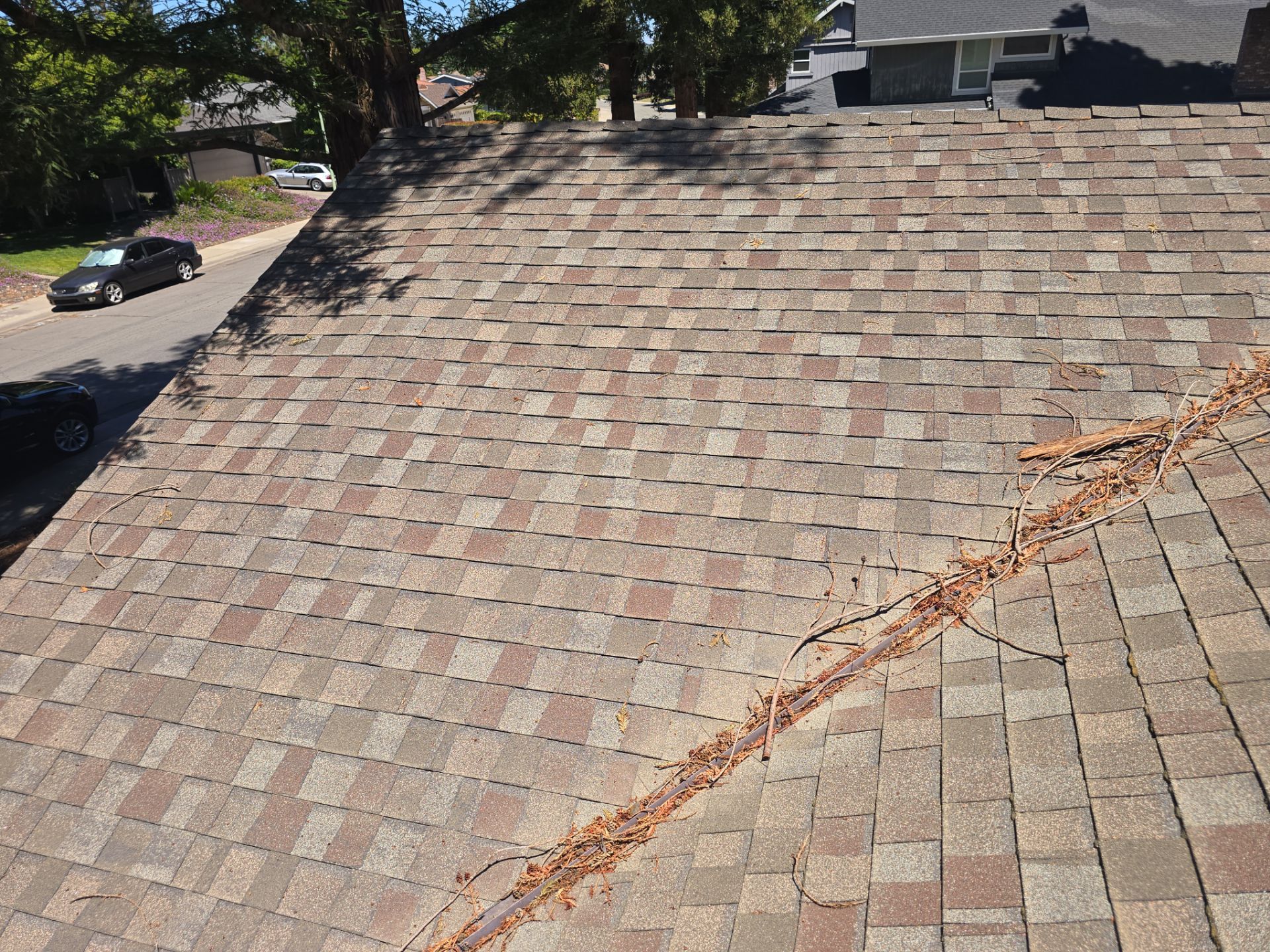 Roof Rejuvenation using Roof Maxx Treatment by Roof Maxx of Folsom