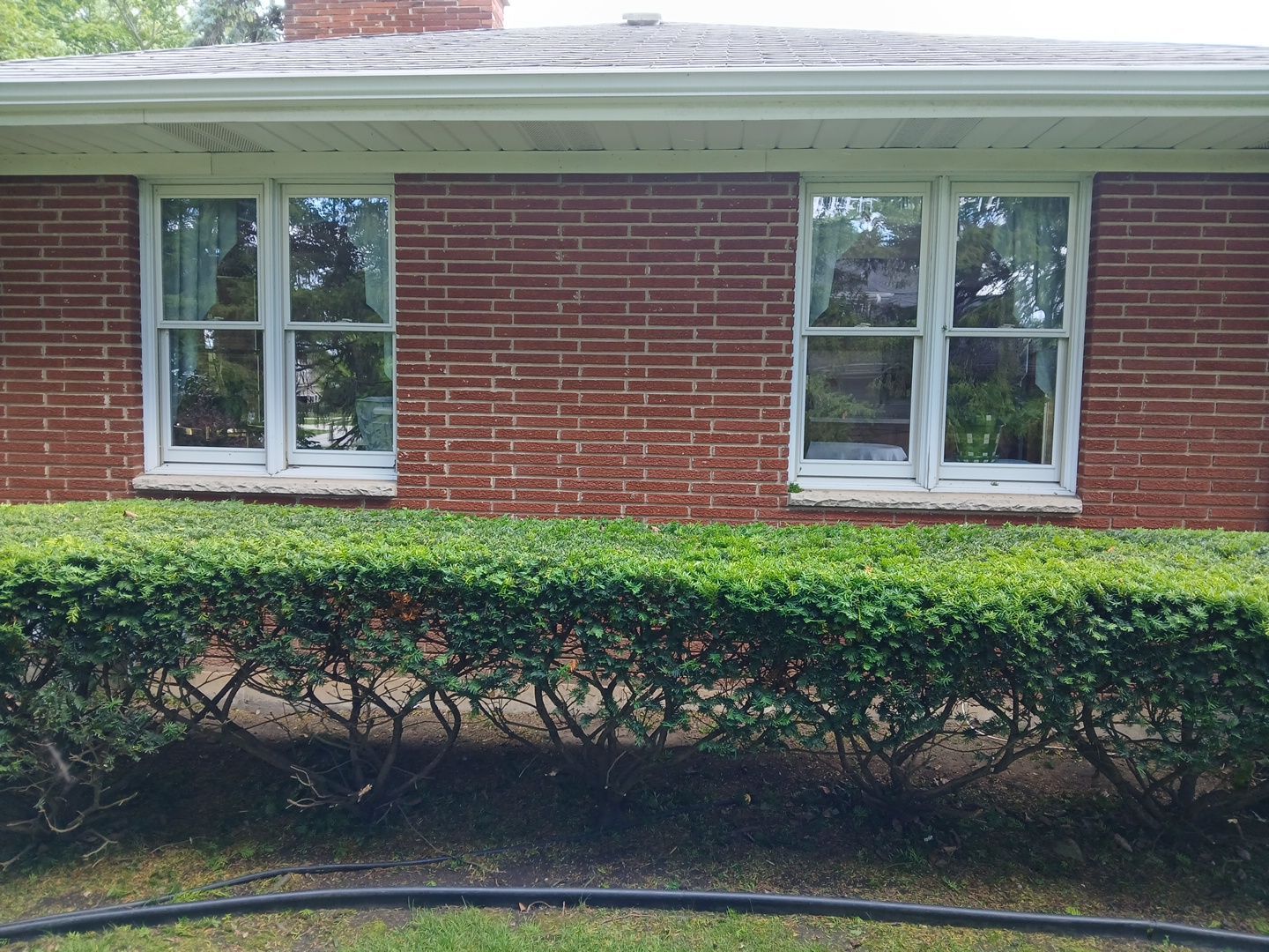 Al K. - Arlington Heights, IL by A&N