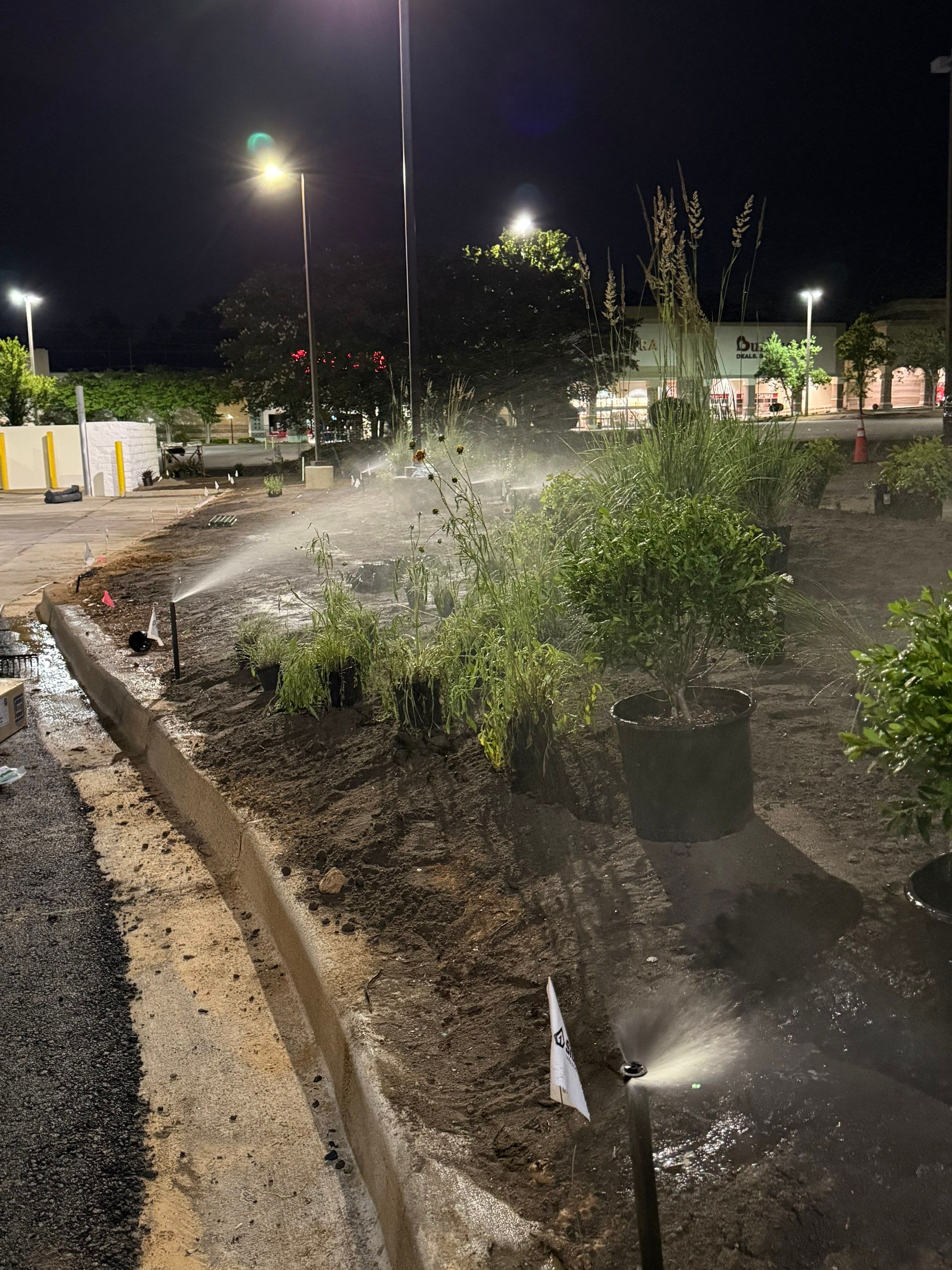 FTB Haribson Bank Project Columbia SC - (Commercial) by Carolina-Metro Landscape, Inc