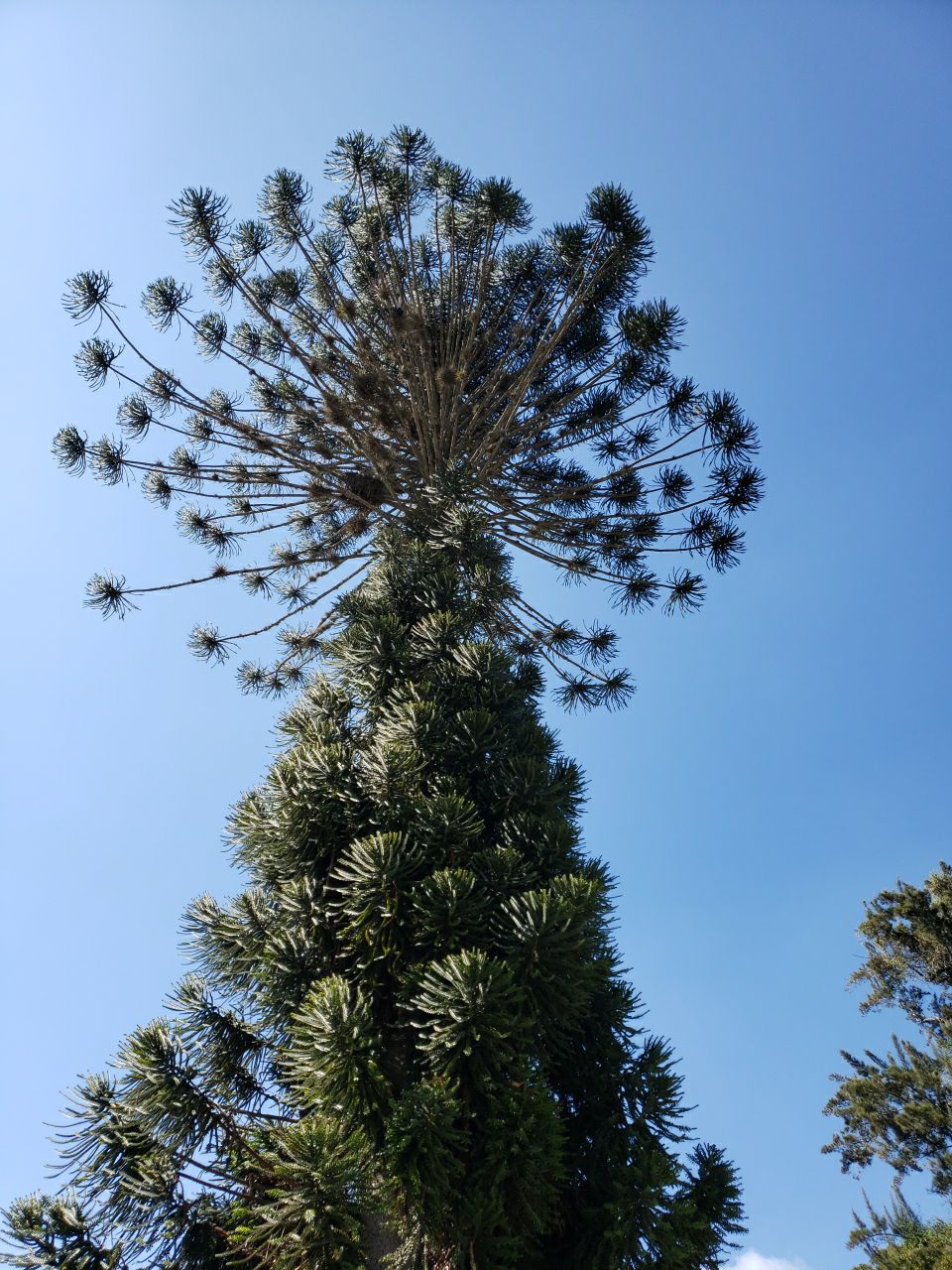 Holiday visit to Guatamala by G&H Home Tech Pros LLC