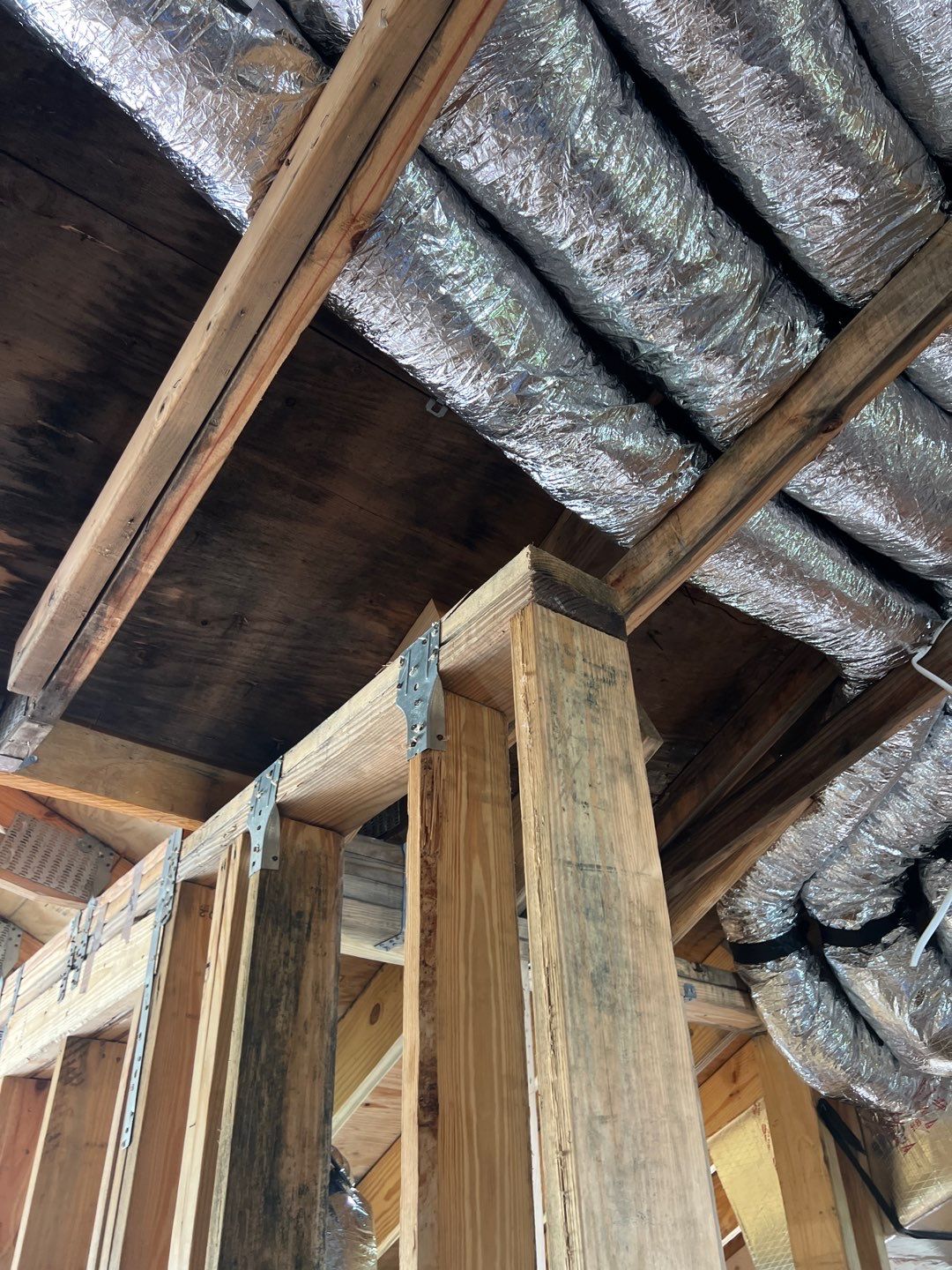 Anna Maria Mold Remediation by Ampm Restoration Services