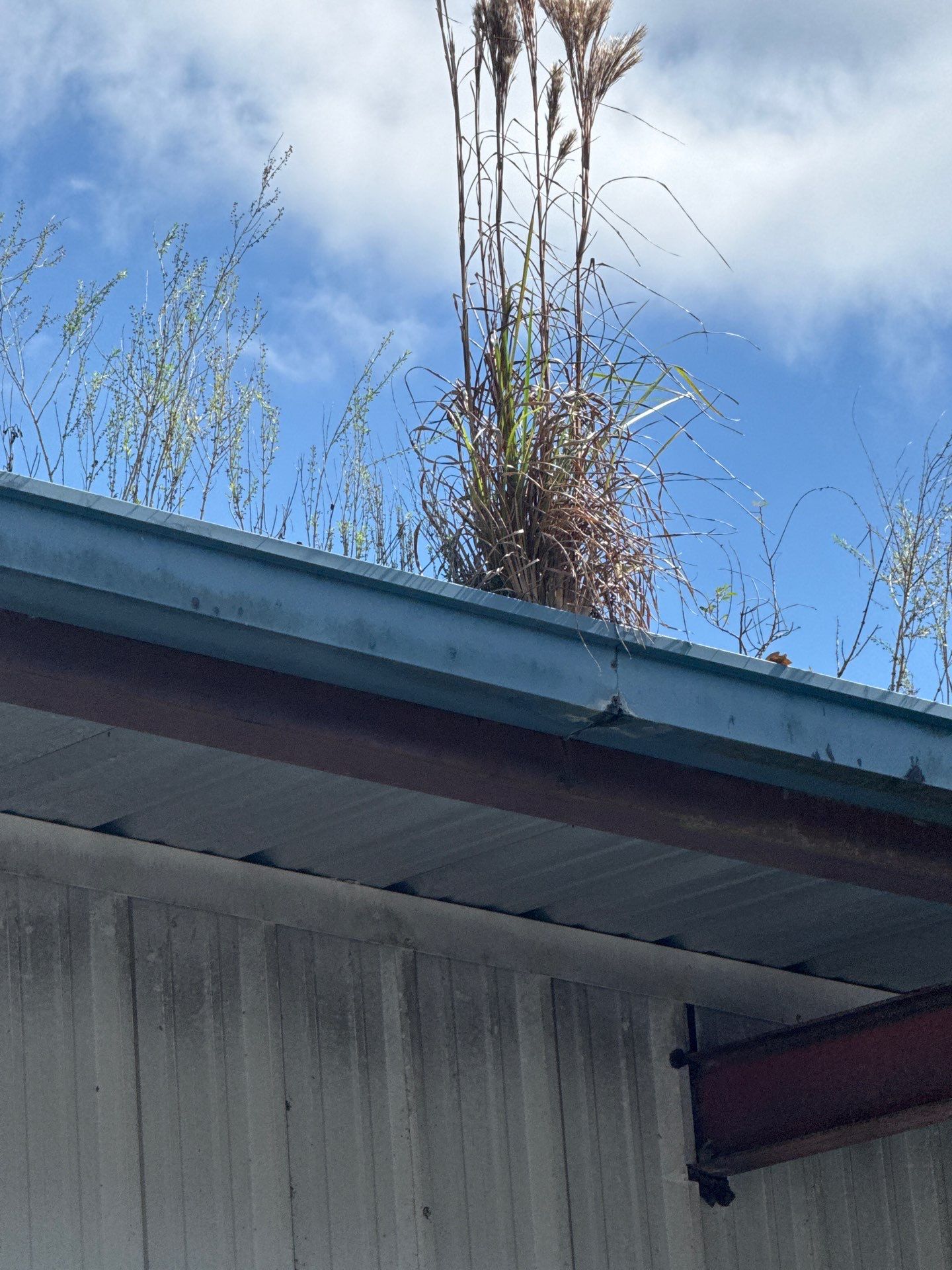 Clean Gutters and Seal Seams in Lakeland FL by Gutter Professors