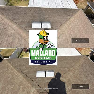 Shingle Roof Cleaning