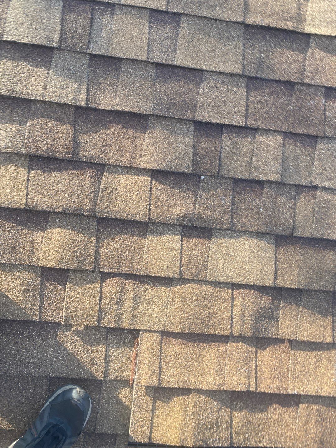Residential Roofing Installation using Owens Corning Oakridge, Desert Tan by Absolute Roofing and Construction
