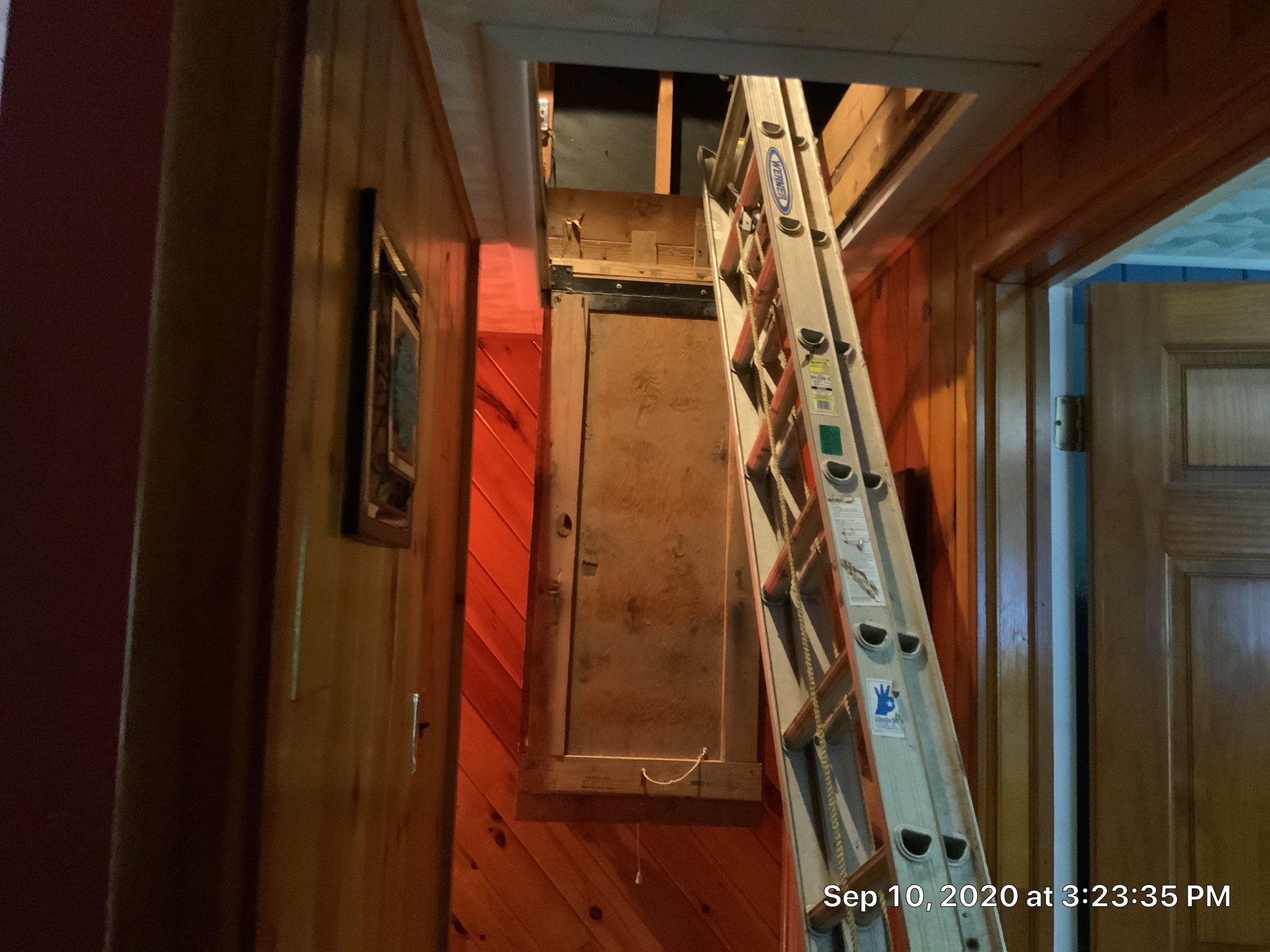 Attic Mold Remediation Job in Vernon Township, NJ by Pure Service Pro, LLC 