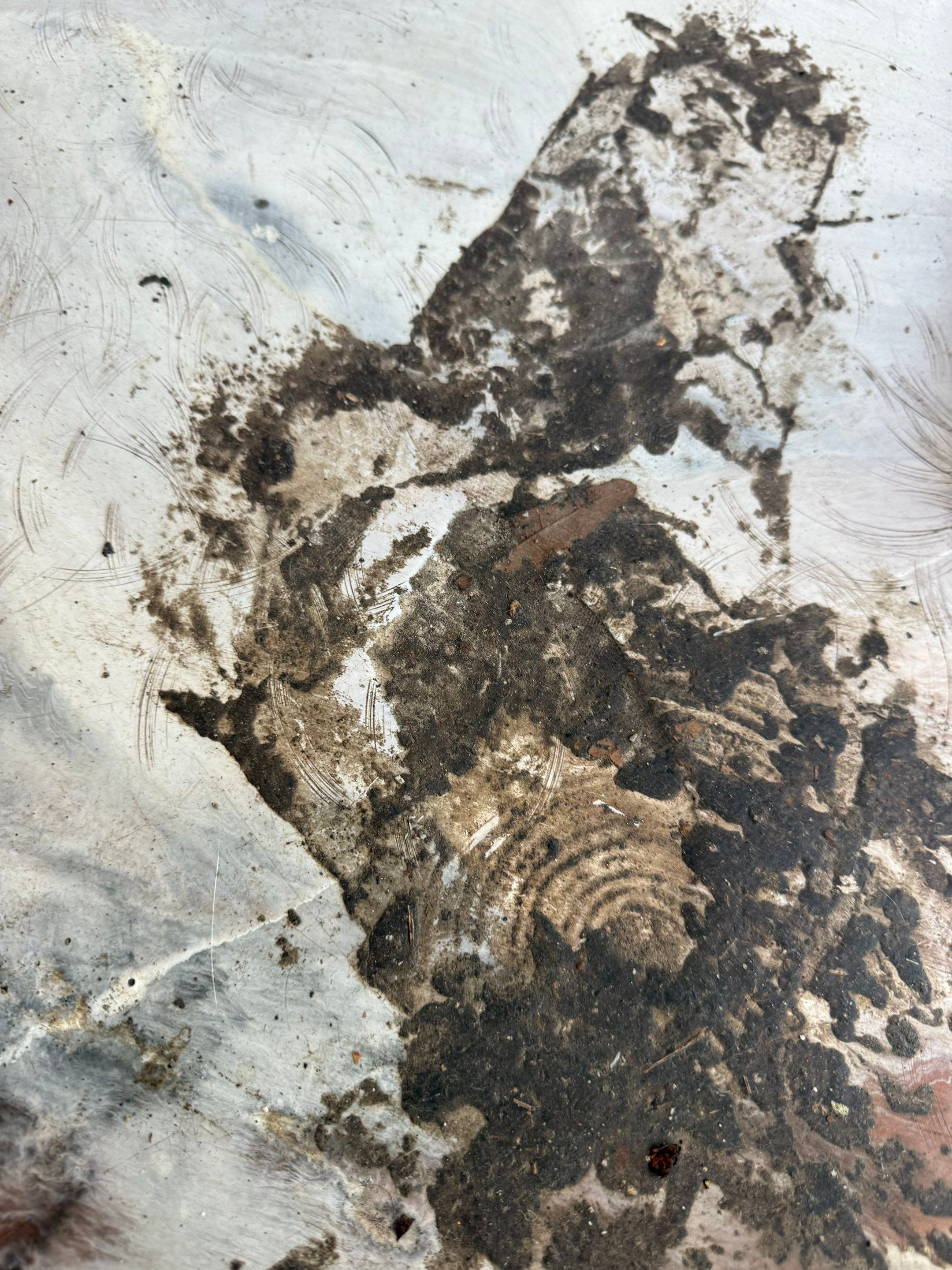 Project in Holiday by High Tech Epoxy
