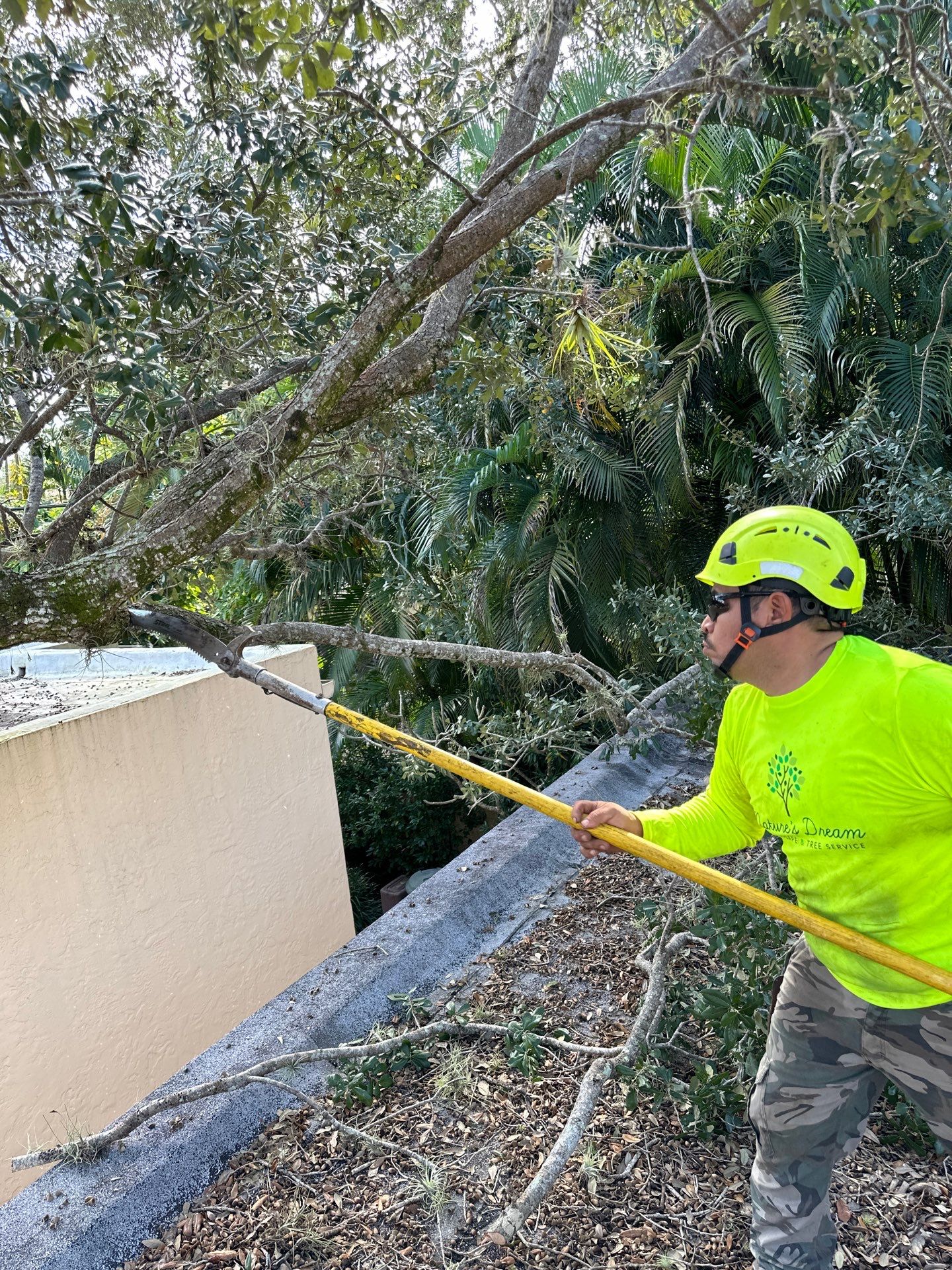 Removing Low Tree Branches Over Roof by Nature's Dream Landscape and Tree Service
