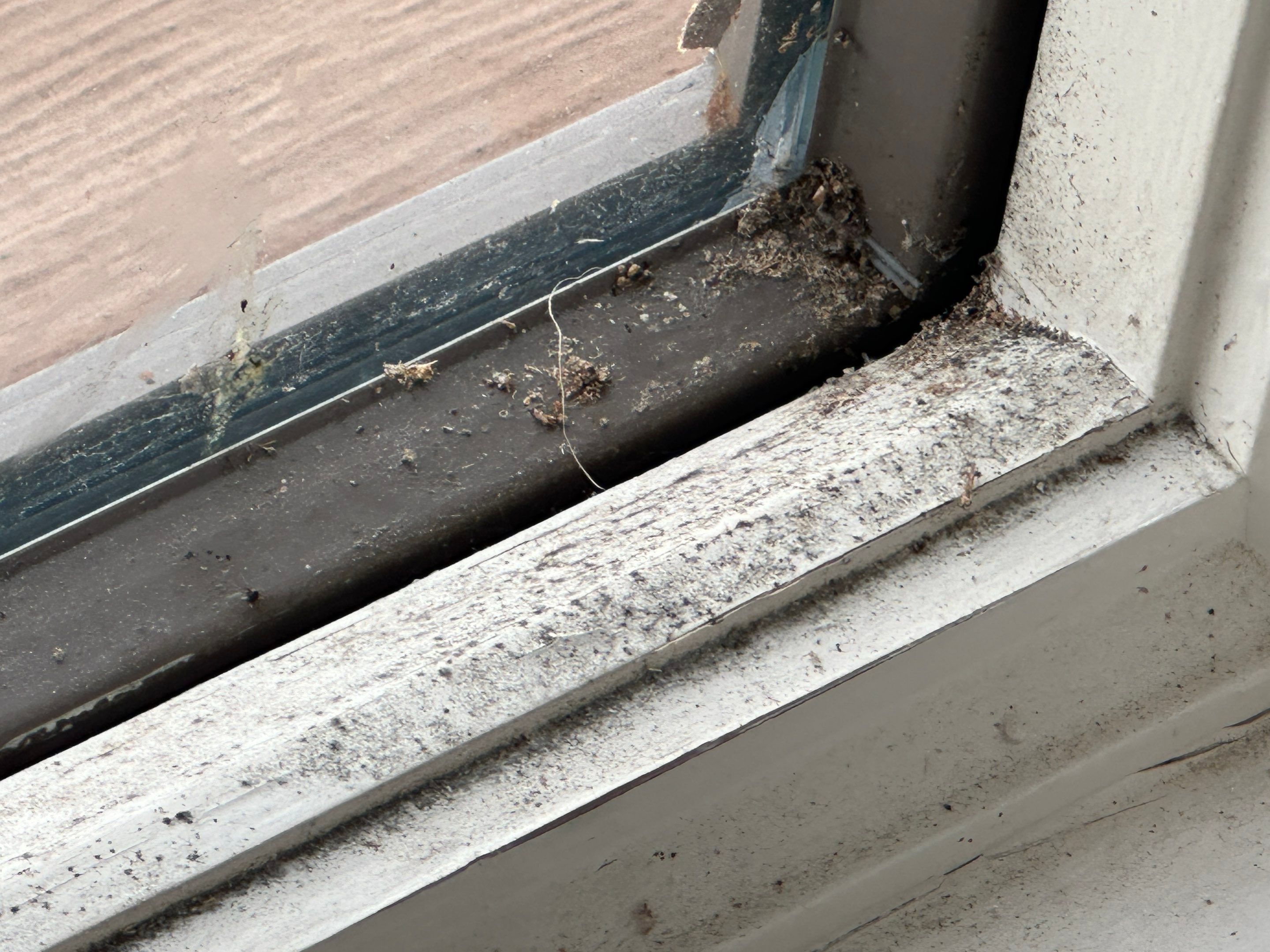 Water Damage Claim in Seminole by FLAPA & KeyStone