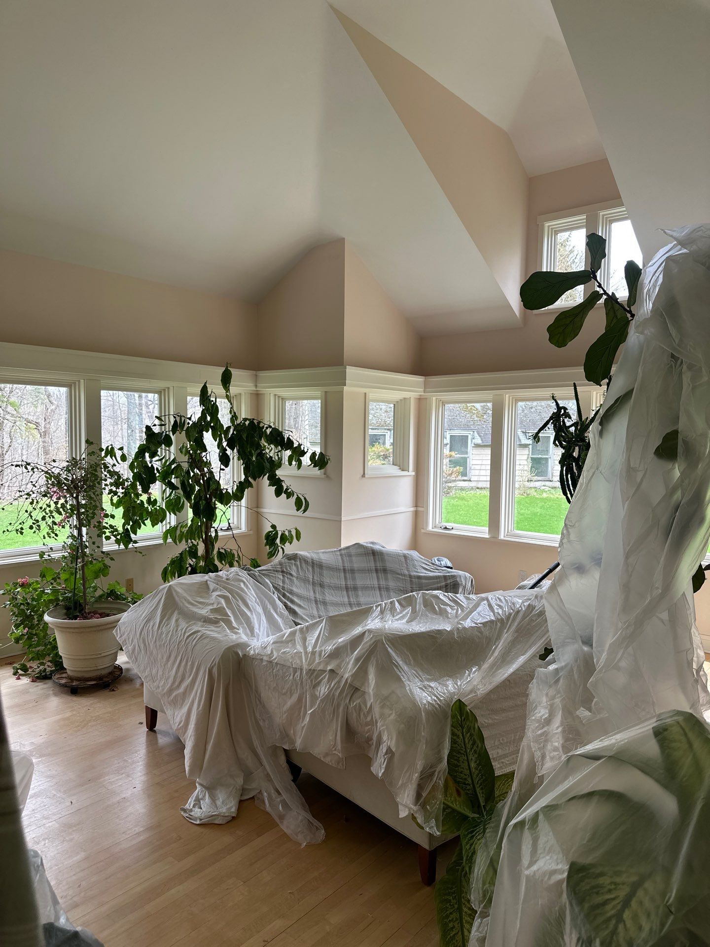 Ceiling Finishing by OCS Contracting Services