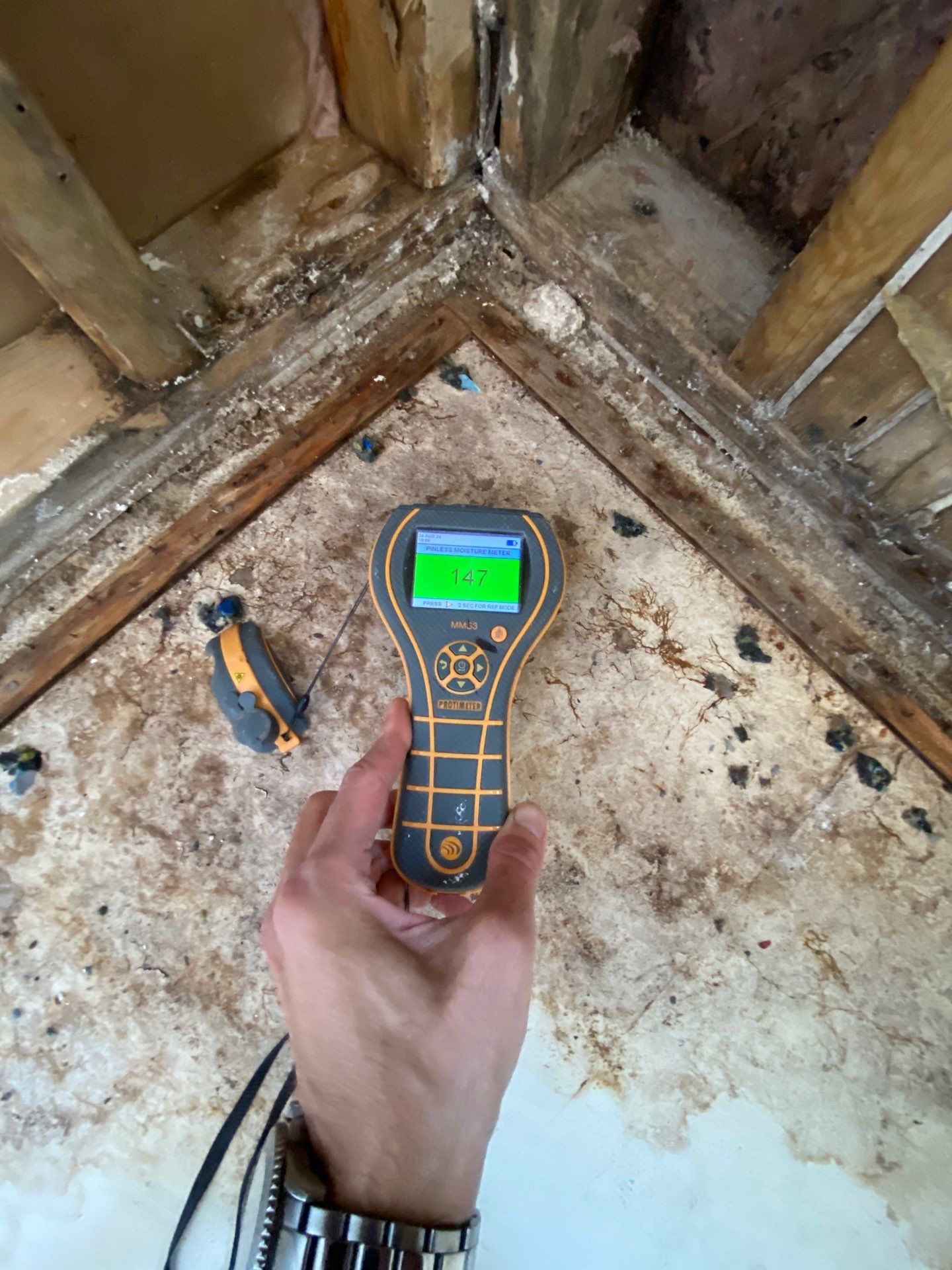 Project in Novi by EzDry Water Mitigation & Property Restoration