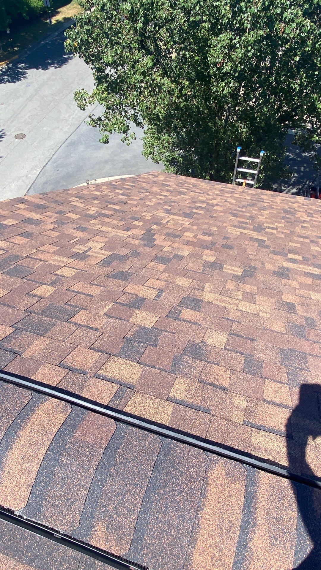 Alexandria: Roof Replacement with CertainTeed Landmark Pro in Max Def Burnt Sienna by RM Banning, Inc.